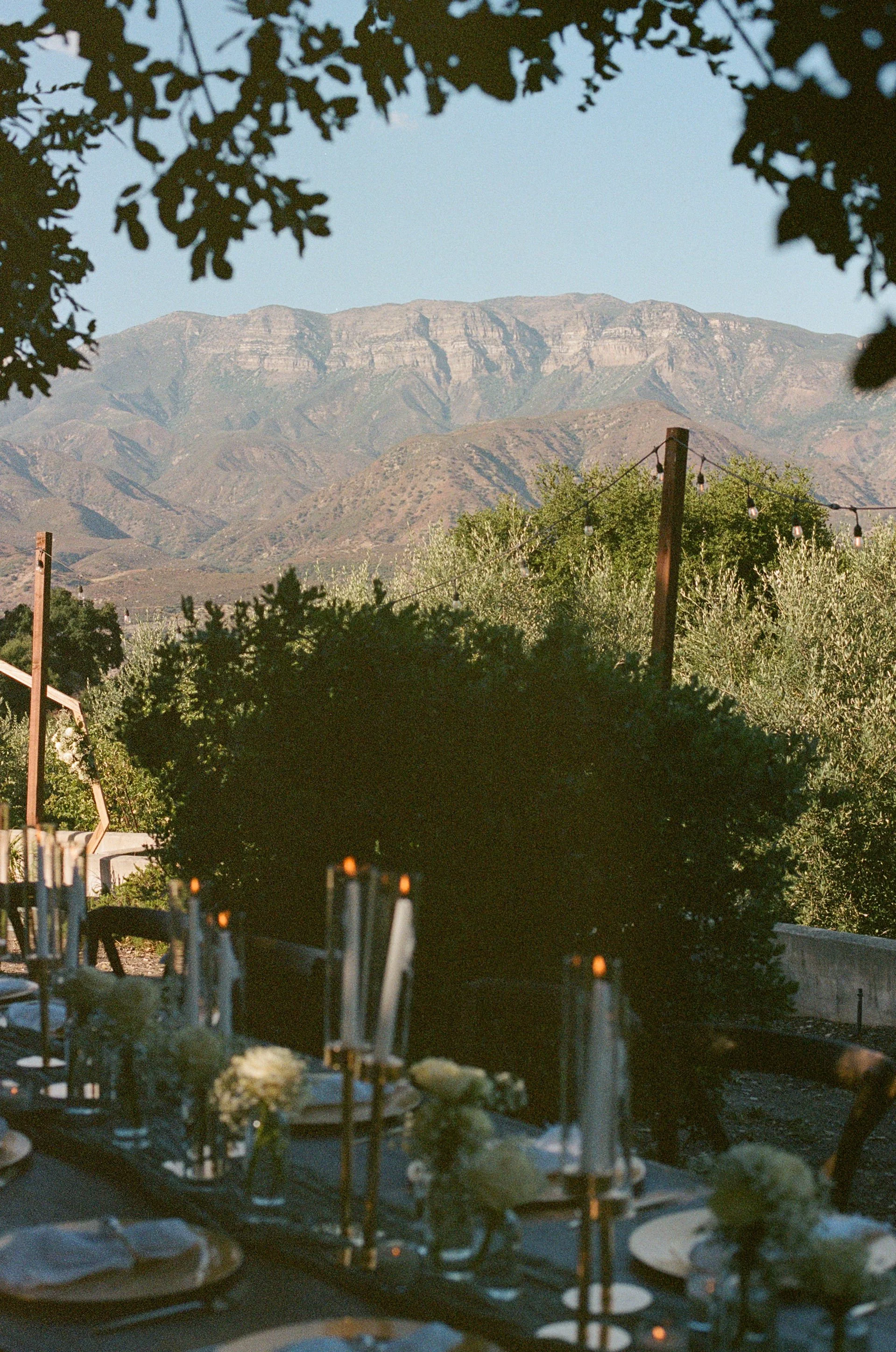 alexi&eduardo_ojaiwedding-384.jpg