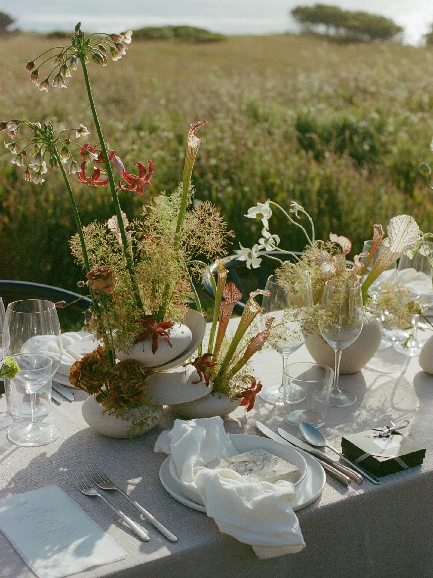 Enamored by the California coast. There&rsquo;s no place like home ❤️&zwj;🔥🌊

@ashandoakfloral bringing their creative genii to the table for this editorial wedding at The Sea Ranch.

Production: @wed_vibes 
Venue: @thesearanchlodge
Planner: @nicol
