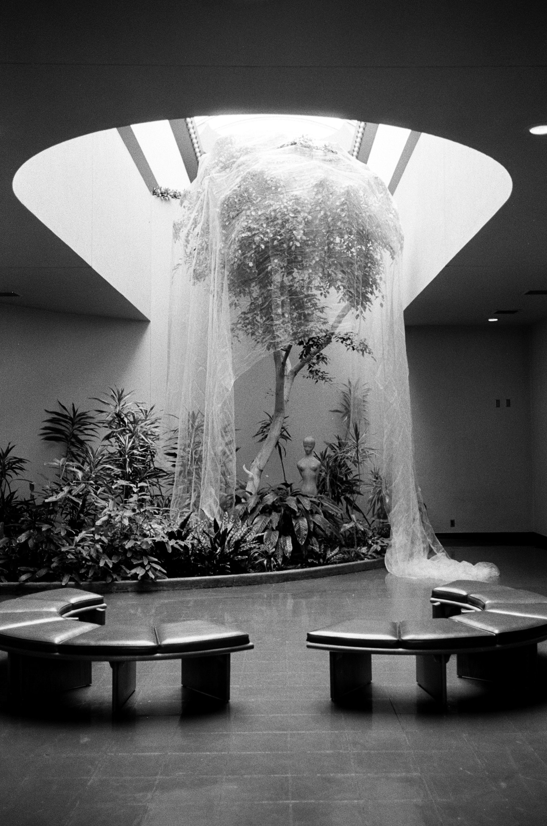 aliya&yi_marincountycourthouse_wedding-36.jpg