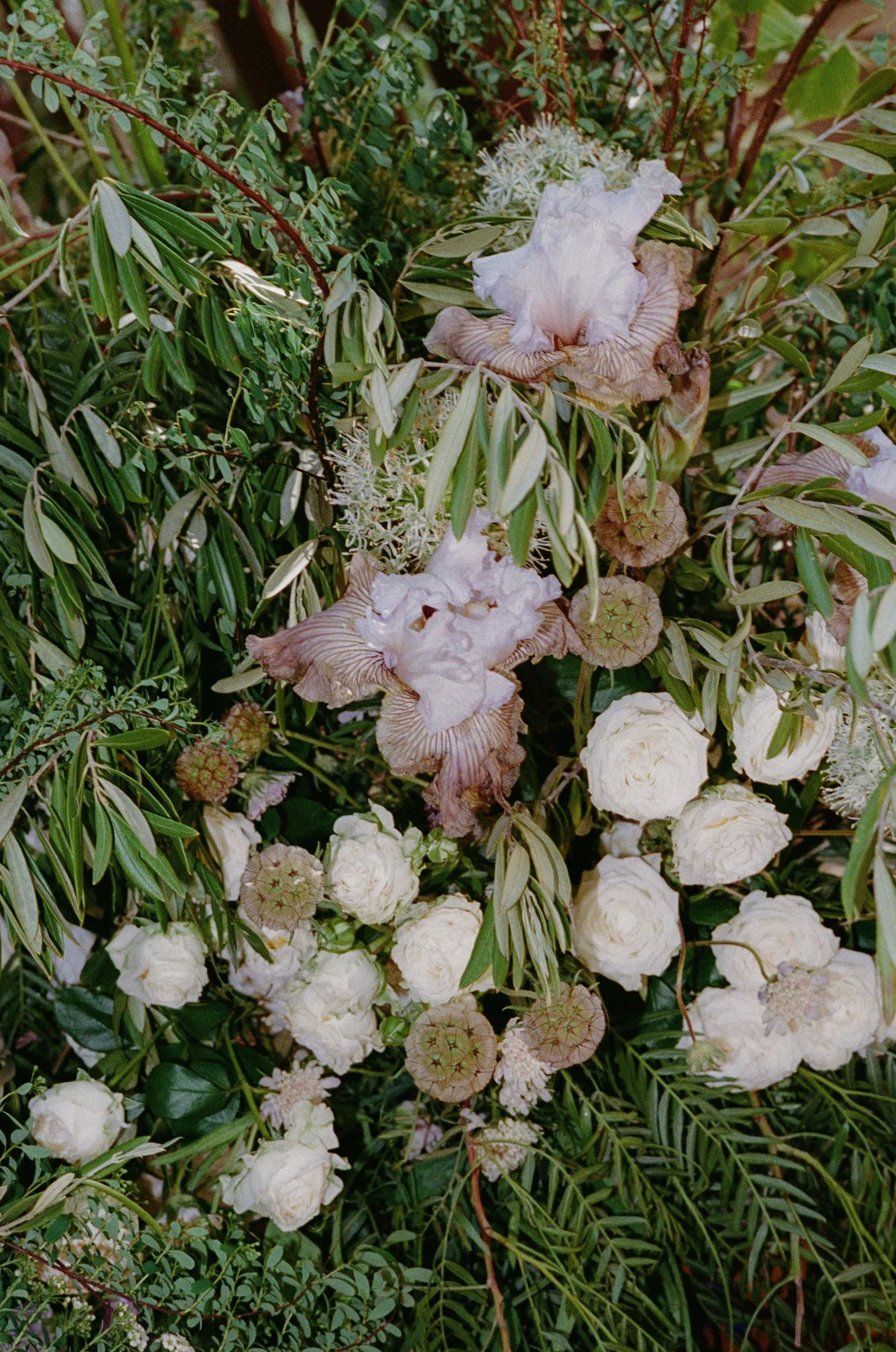 lindsey&david_1909wedding-231.jpg