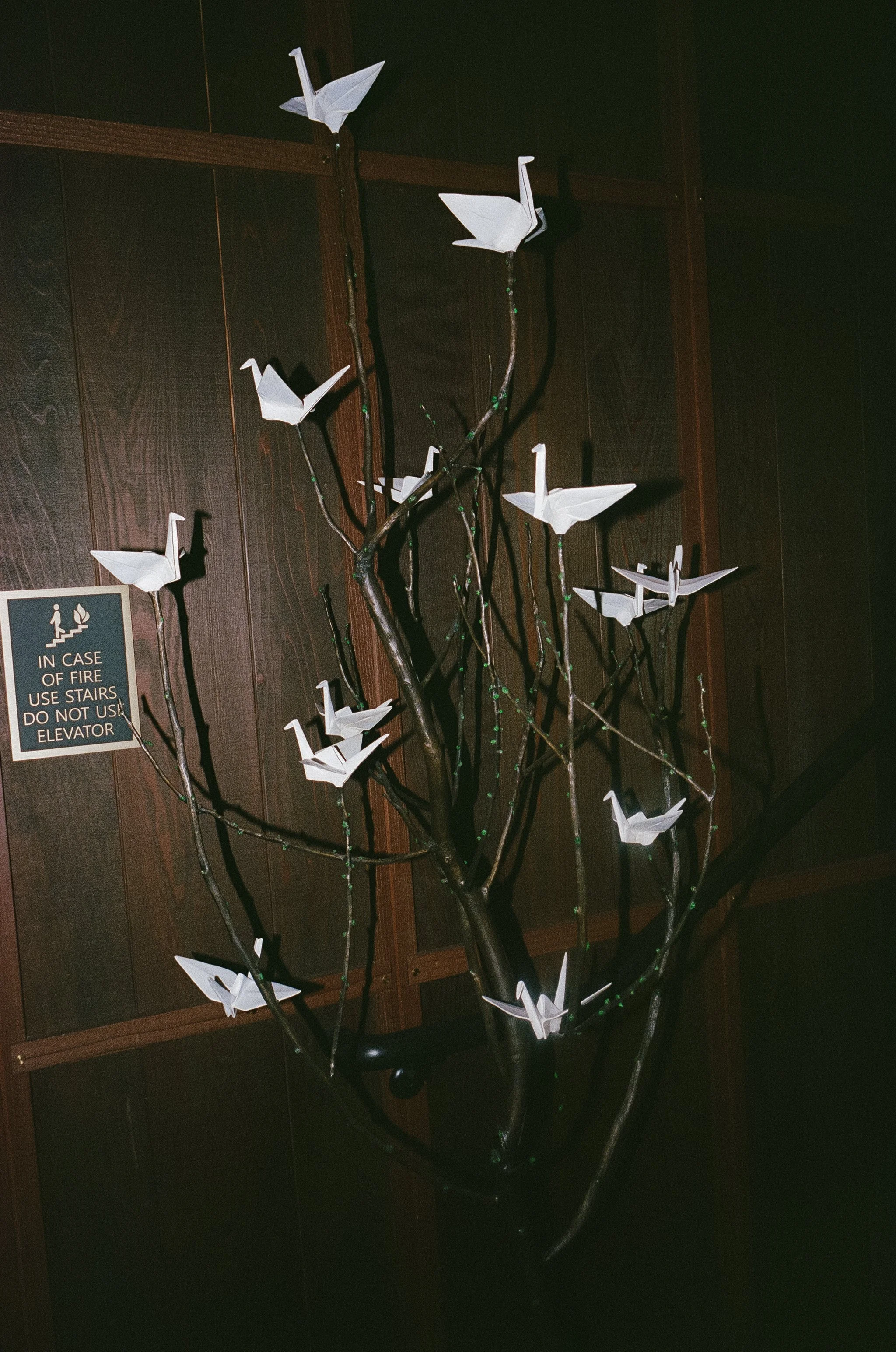 katie&dylan_sonomacoastwedding-400.jpg