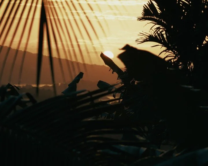 sights and sounds of jamaica. 🇯🇲 

visiting the island in june has its perks. during the low (rain) season there&rsquo;s fewer tourists, empty beaches and resorts offering deals. even when the clouds roll in, the sun always makes its return.🏝️

#v