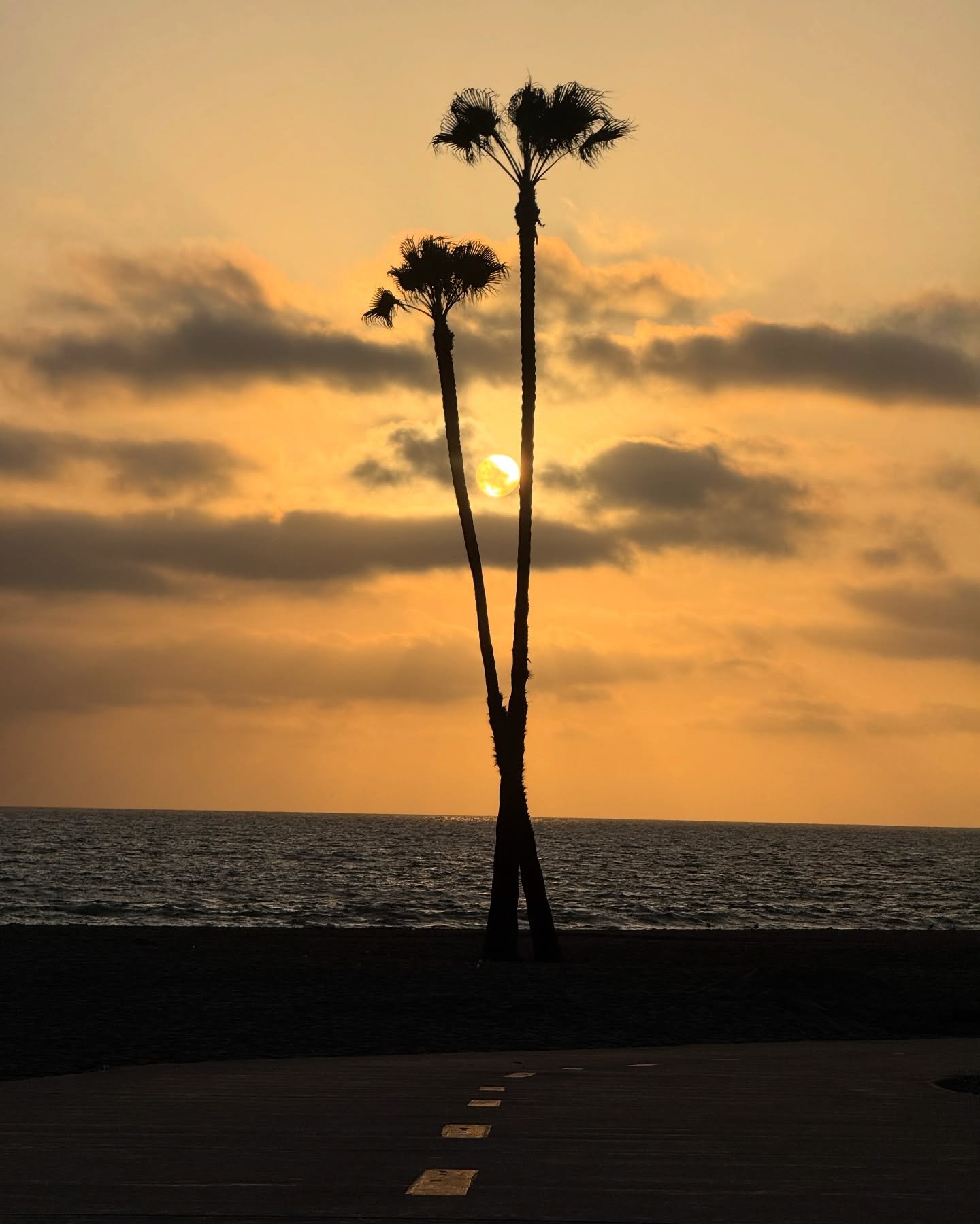 moments from april

1. sunset over playa del rey, LA
2-3. ran my first marathon
4-5. shooting @dan_churchill running around nyc
6-8. bernie sanders rally
9-10. more sunsets
11. ok bye