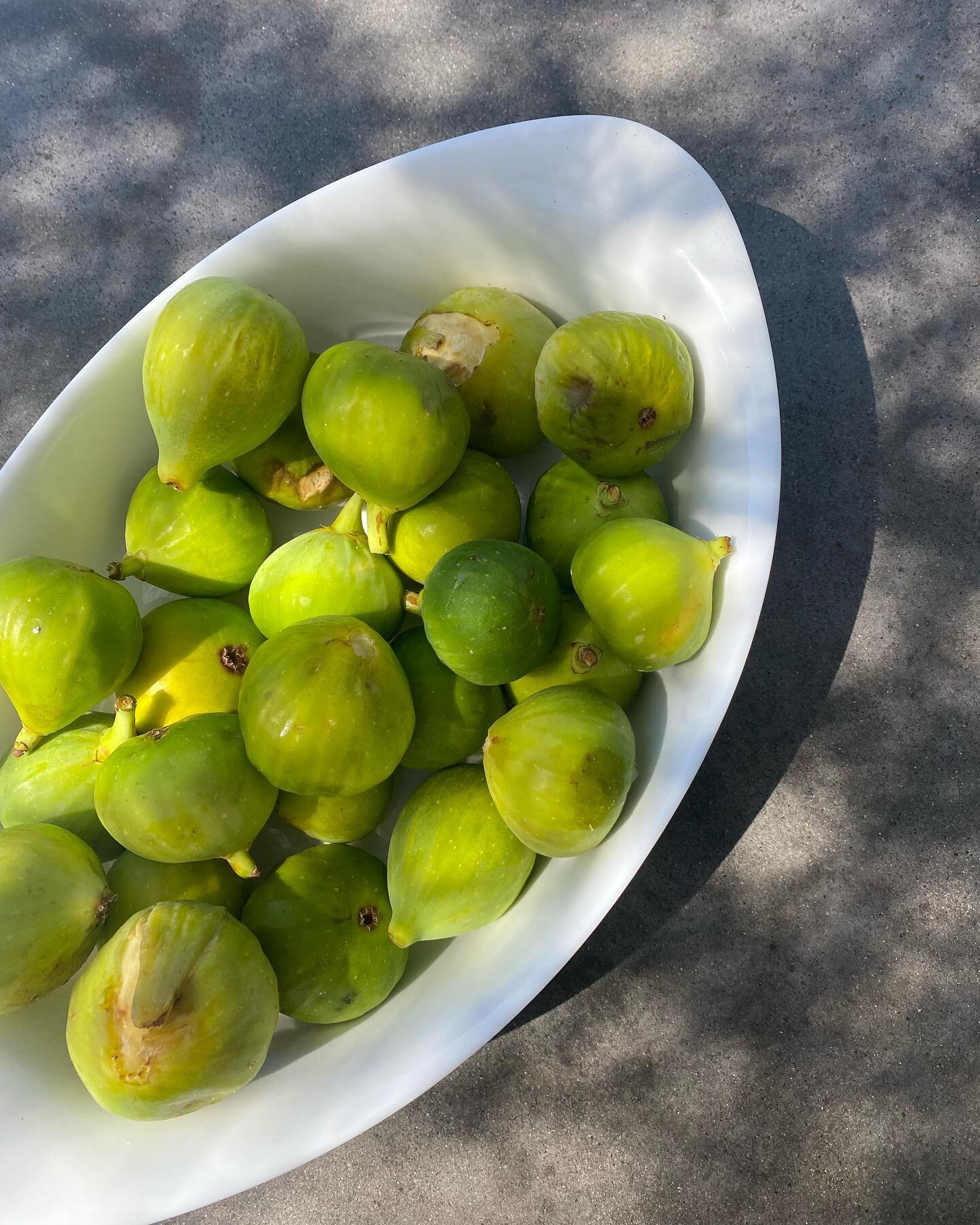 Delicious home grown organic figs ! 
50&cent; each