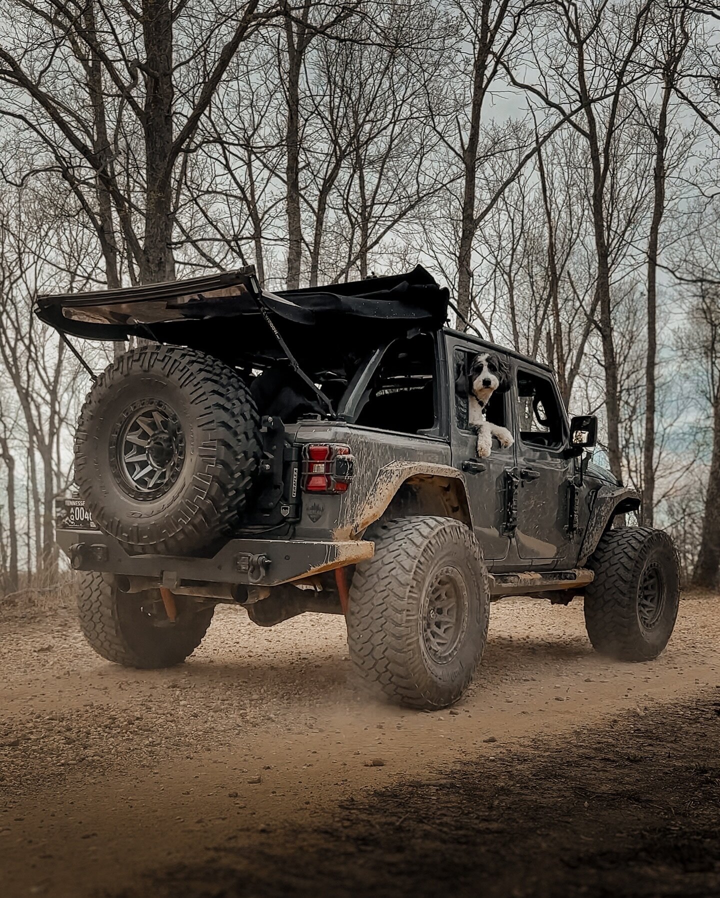 Four wheels, countless memories! Happy Jeep 4x4 Day! Any plans to adventure in your 4x4 this weekend? 

#adventuretime #offroadfun #4x4life #jeepdog #jeeplife #explore4x4 #adventuredog