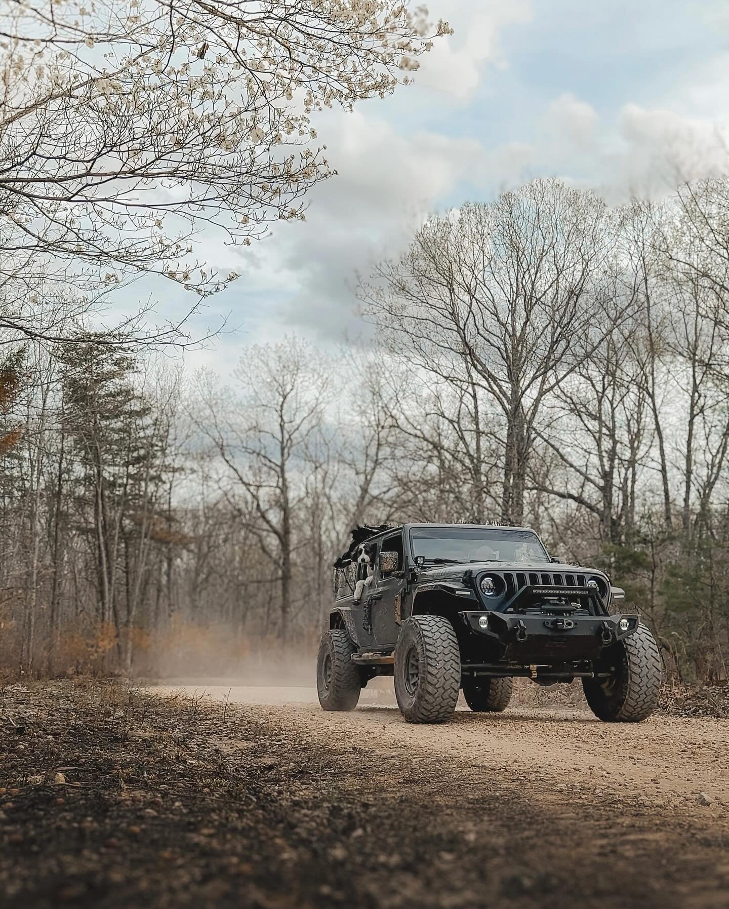 Unplugged for the day and exploring nature. This is where my soul is most at rest. 

Happy Earth Day! Get out there and explore it! 

#jeeplife #earthday #adventureawaits #freedomtoroam #unpluggedadventure #getoutdoors #offthegrid #jeepambassador #tr