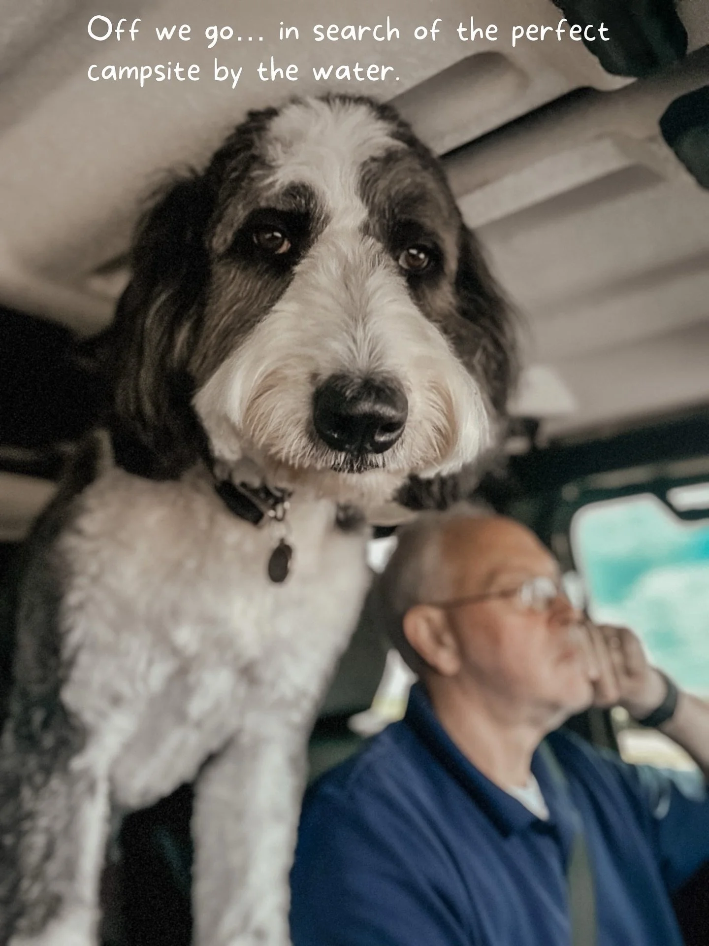 Some weekends don&rsquo;t need a plan&hellip; just a tank of gas, and our little four legged adventurer in the backseat. 🐾

We found a quiet spot by the river that was perfect for slow morning starts and nice relaxing breakfasts cooked by a rather h