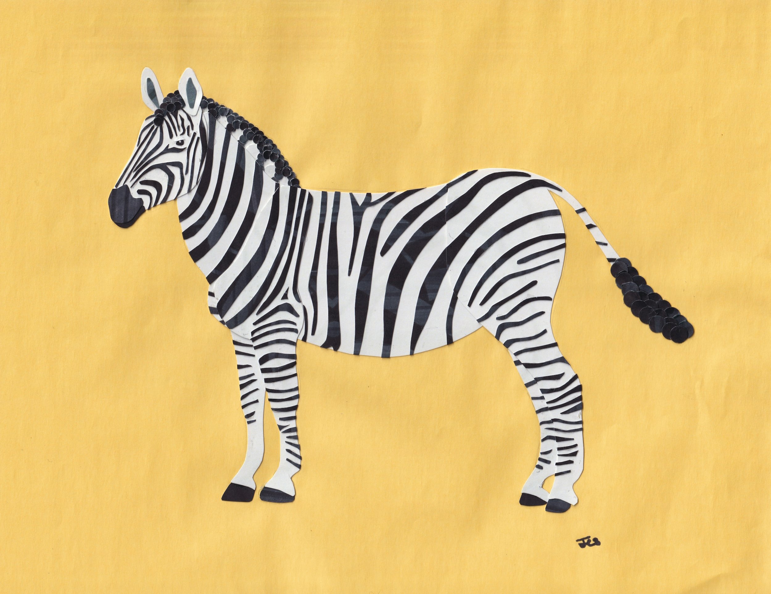 Zebra