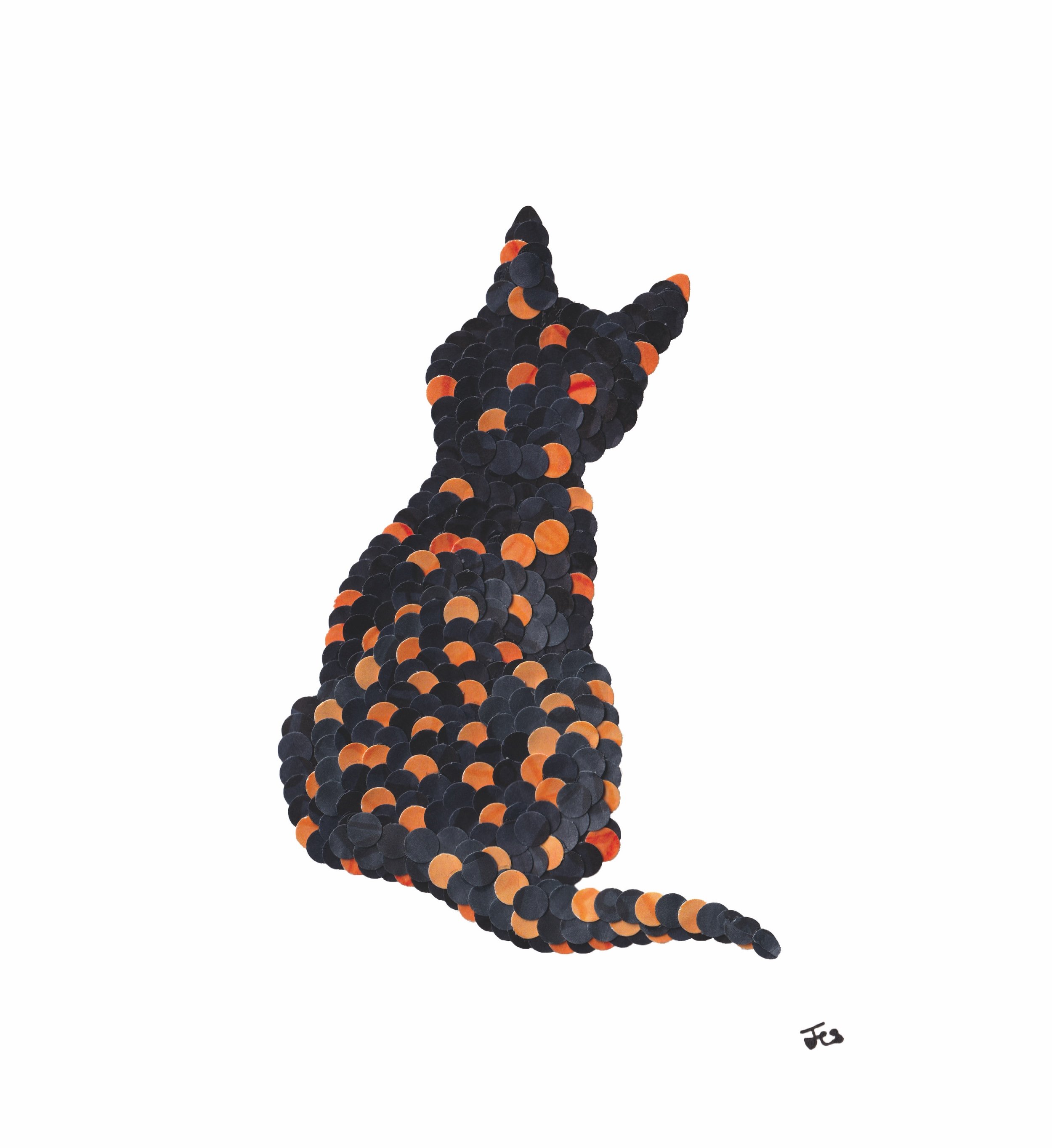 Tortie Kitten