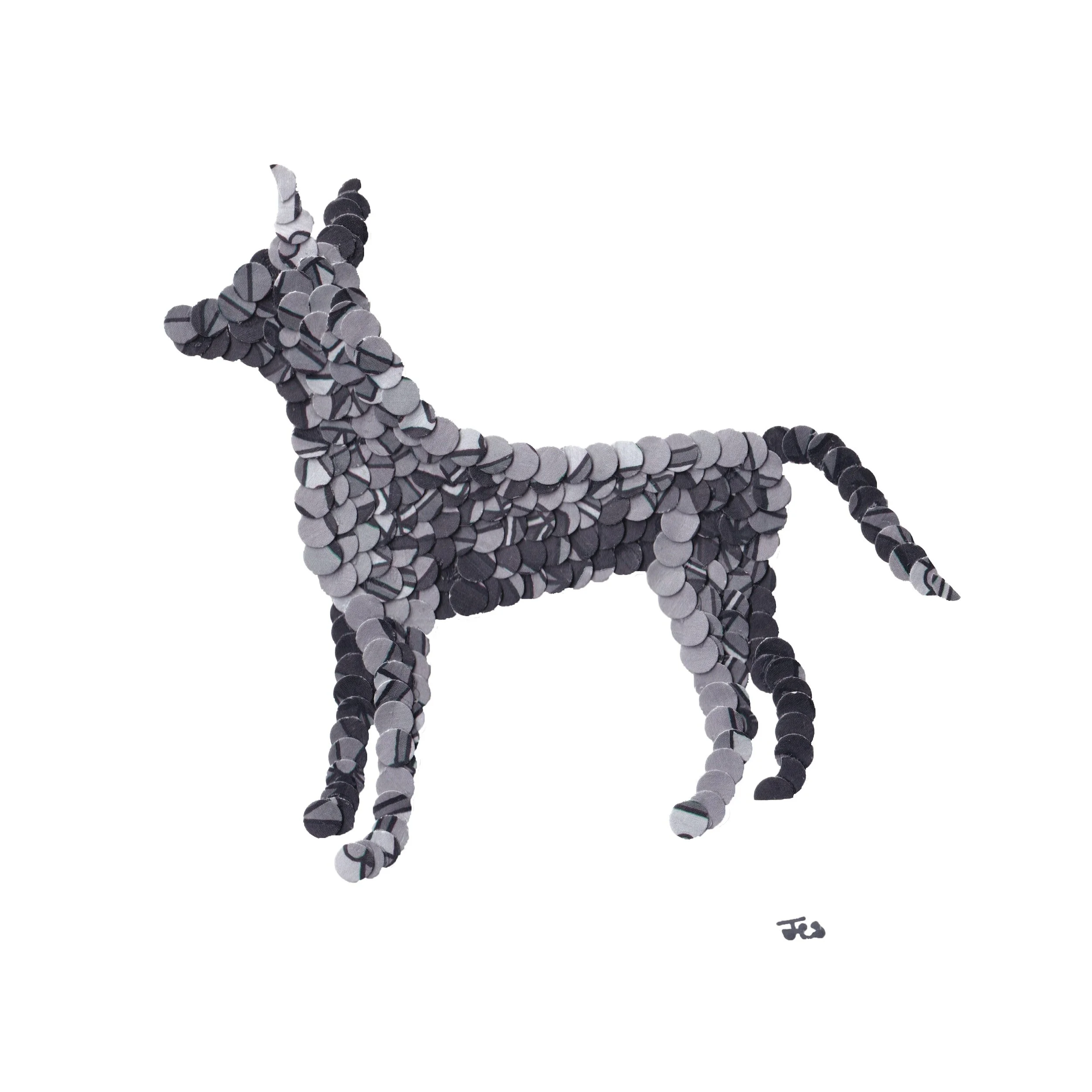 Gray Dog