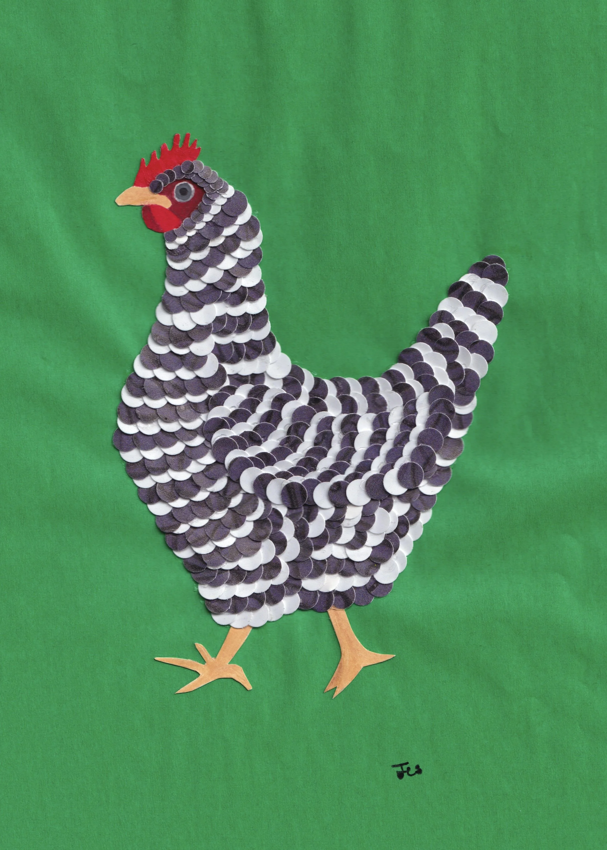 Black and White Hen
