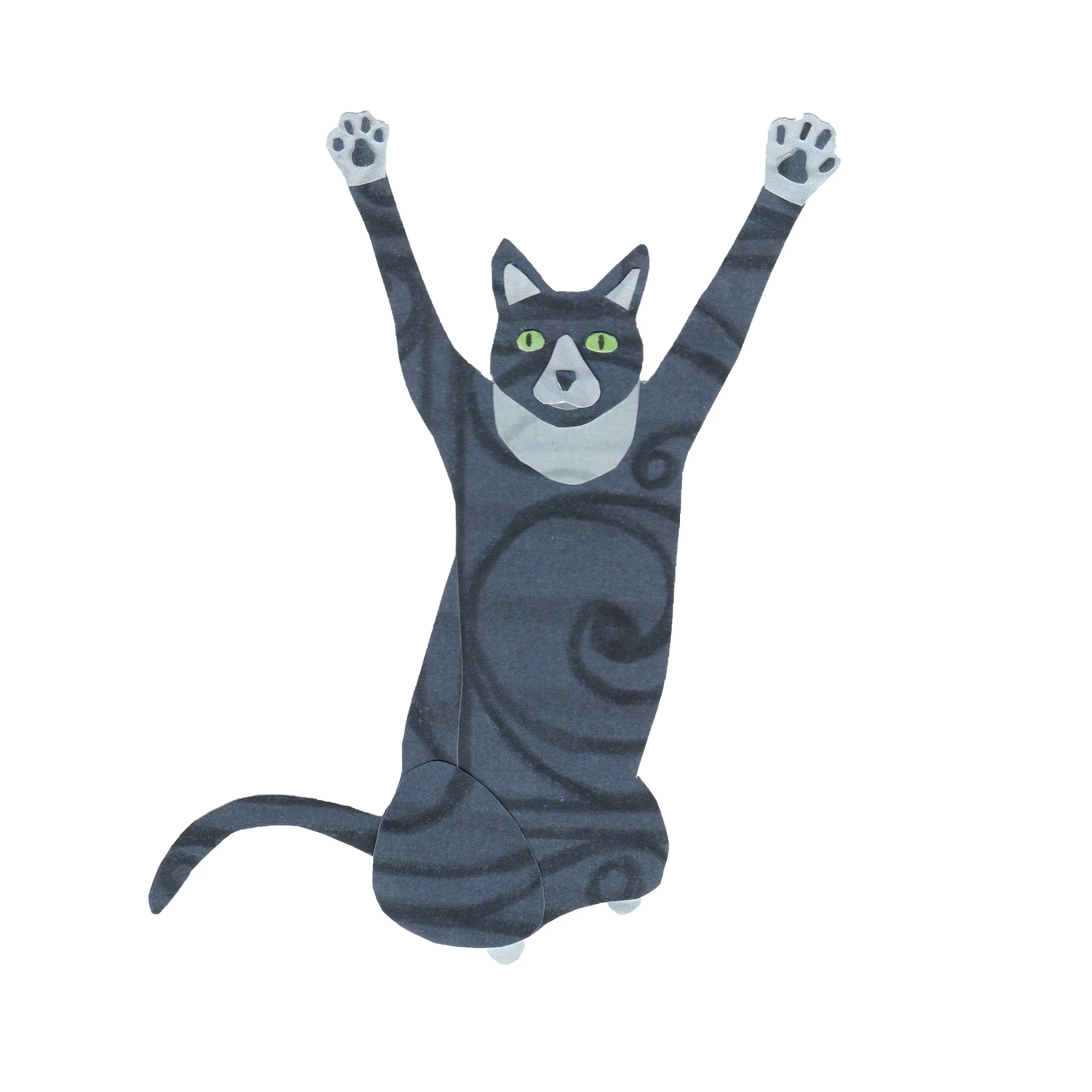Tuxedo Cat