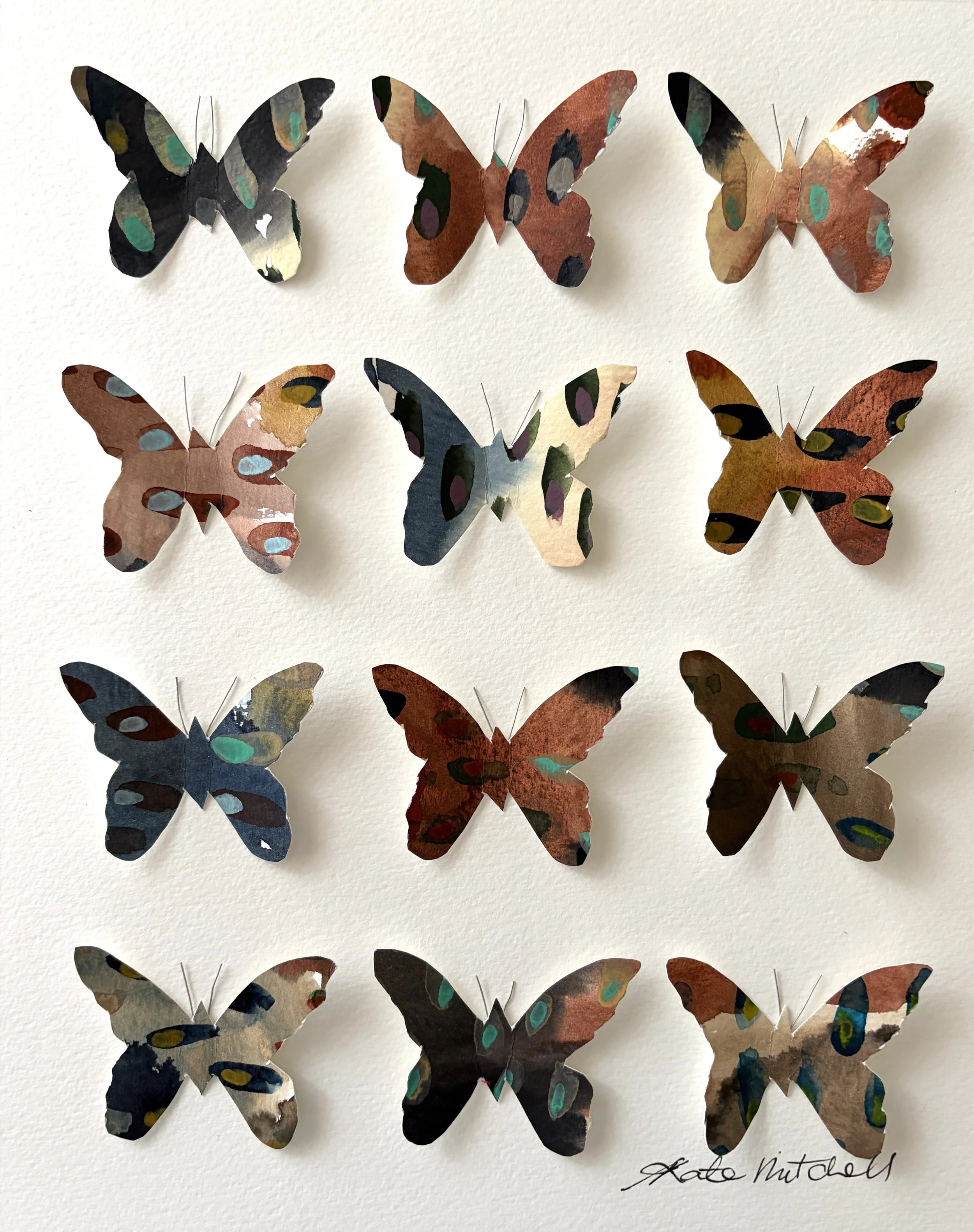 Schmetterling - German Butterfly - Kate Mitchell