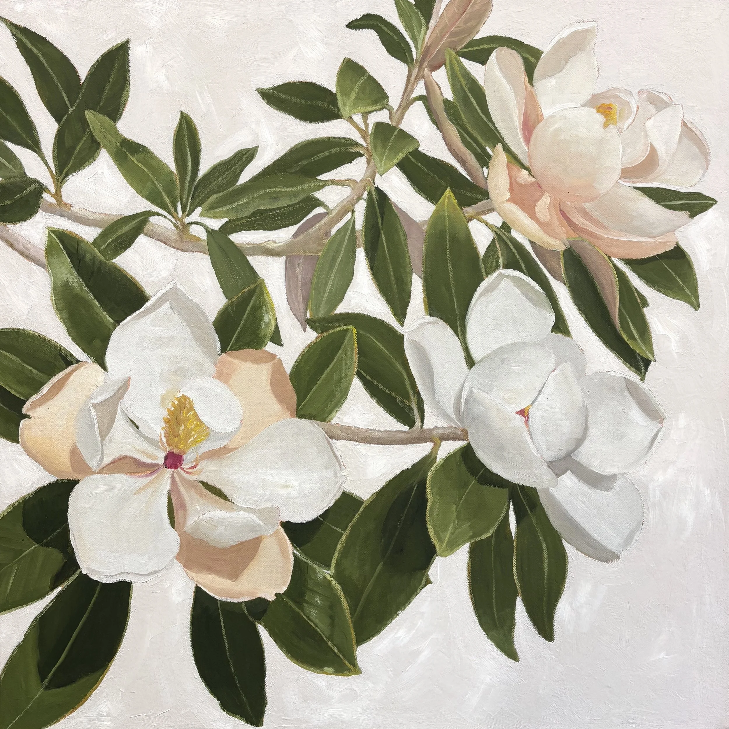 Magnolia Foliage - Sue Rowsell