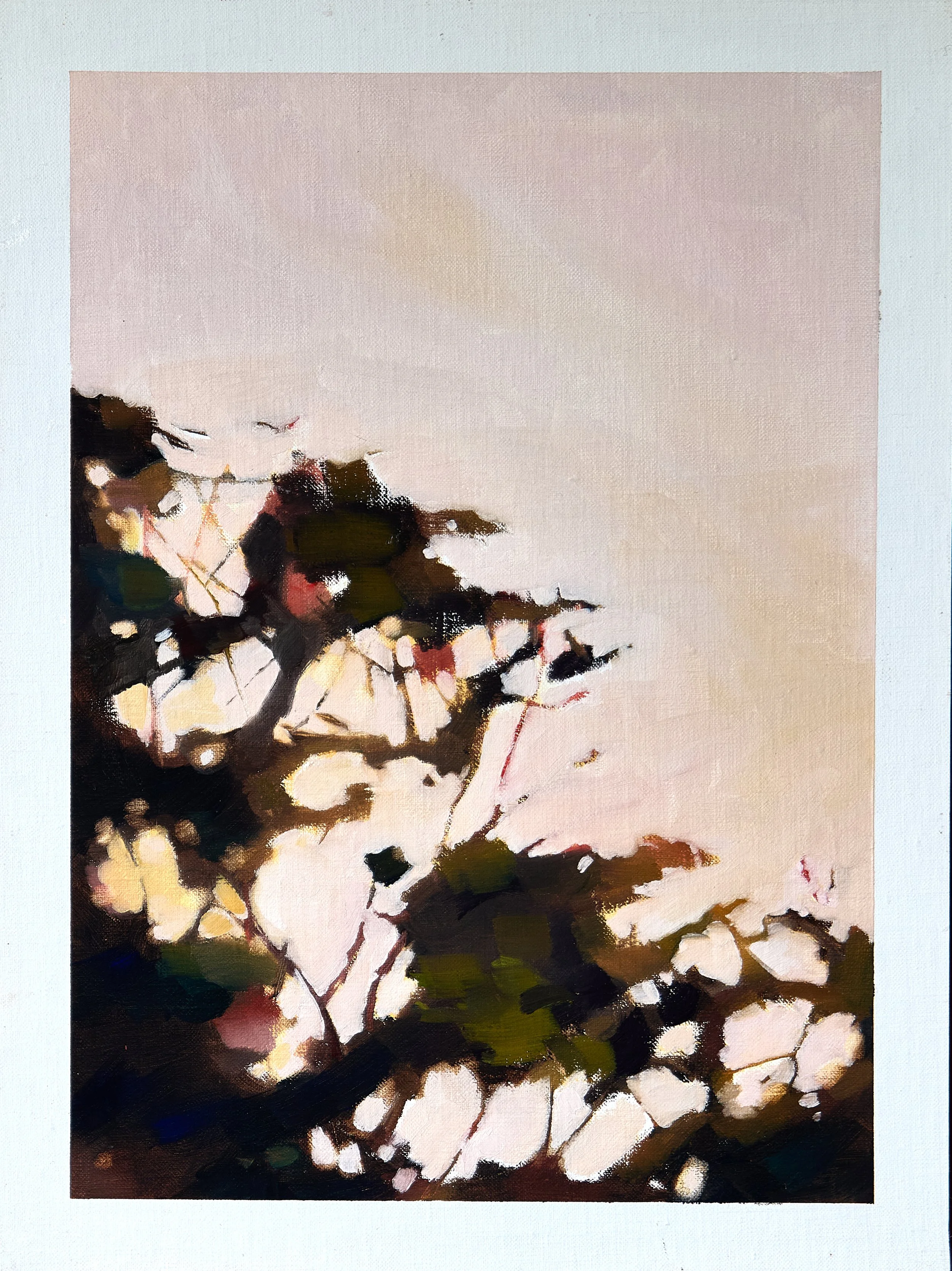27_Figs at dusk_imageA.jpg