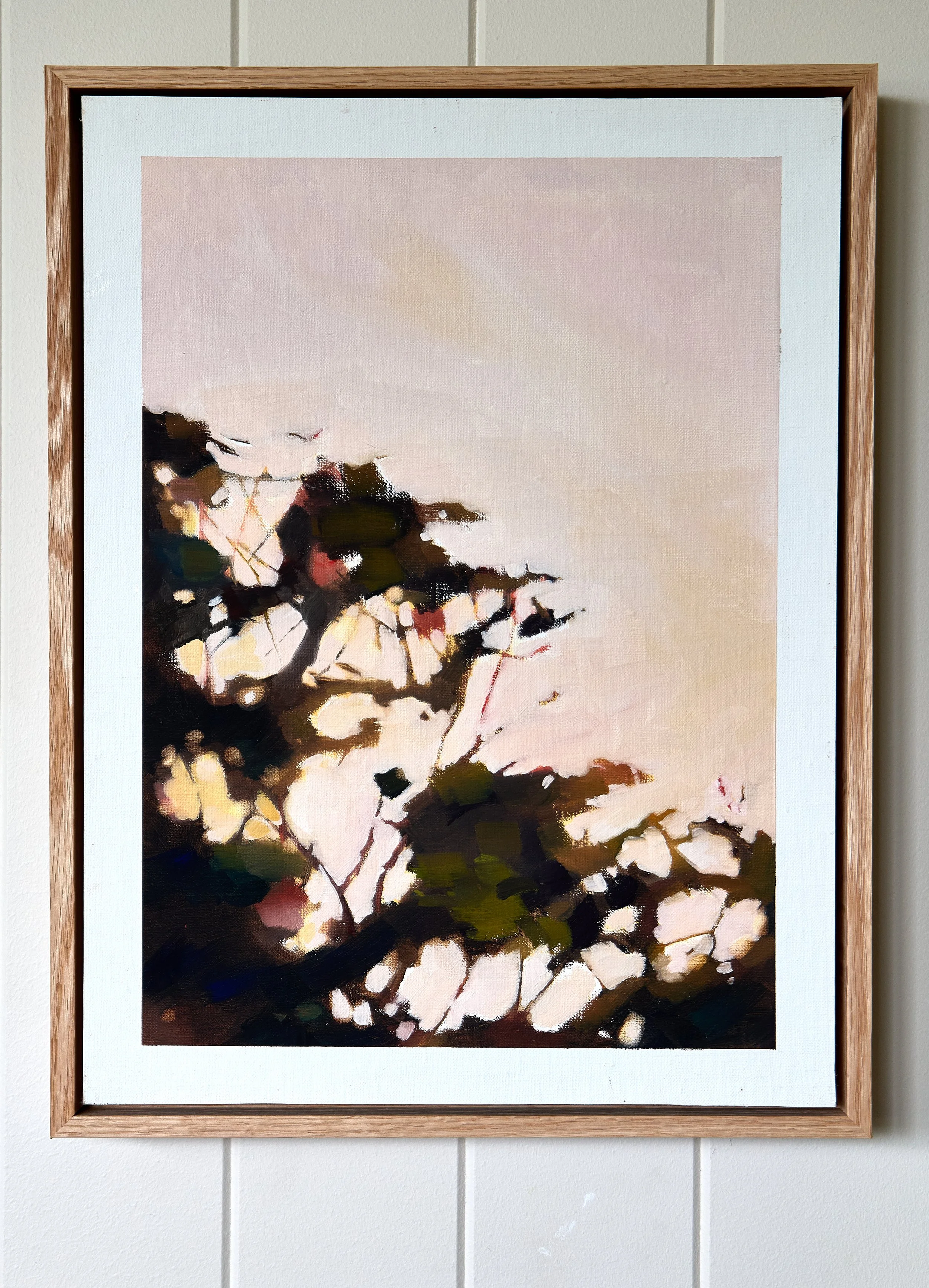 Figs at dusk - Anna Ferguson