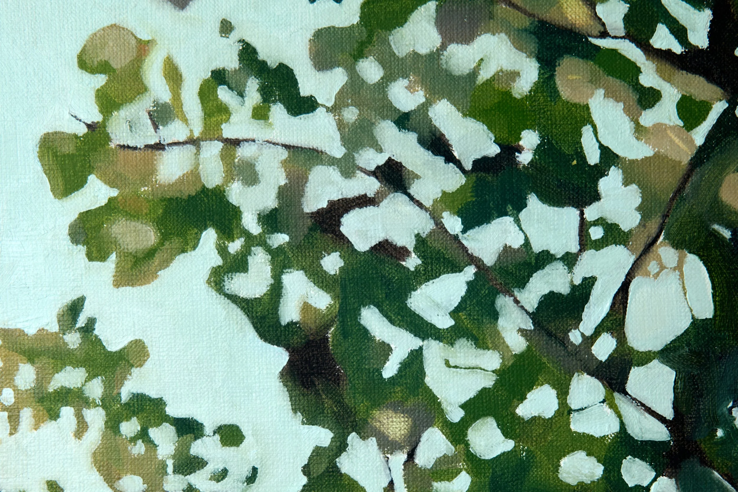 32_Cotton Tree II_ImageB.jpeg