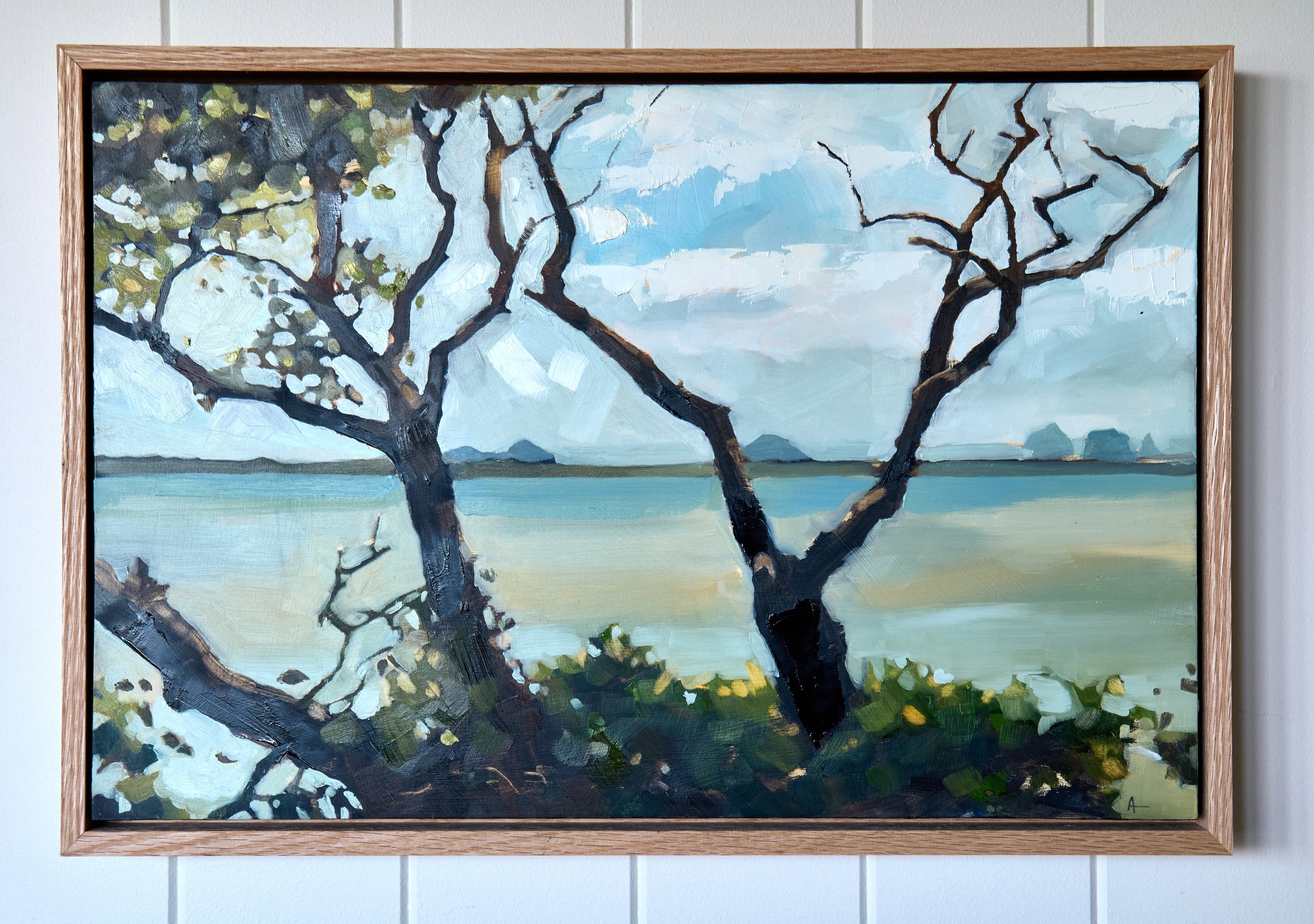 Donnybrook - Anna Ferguson