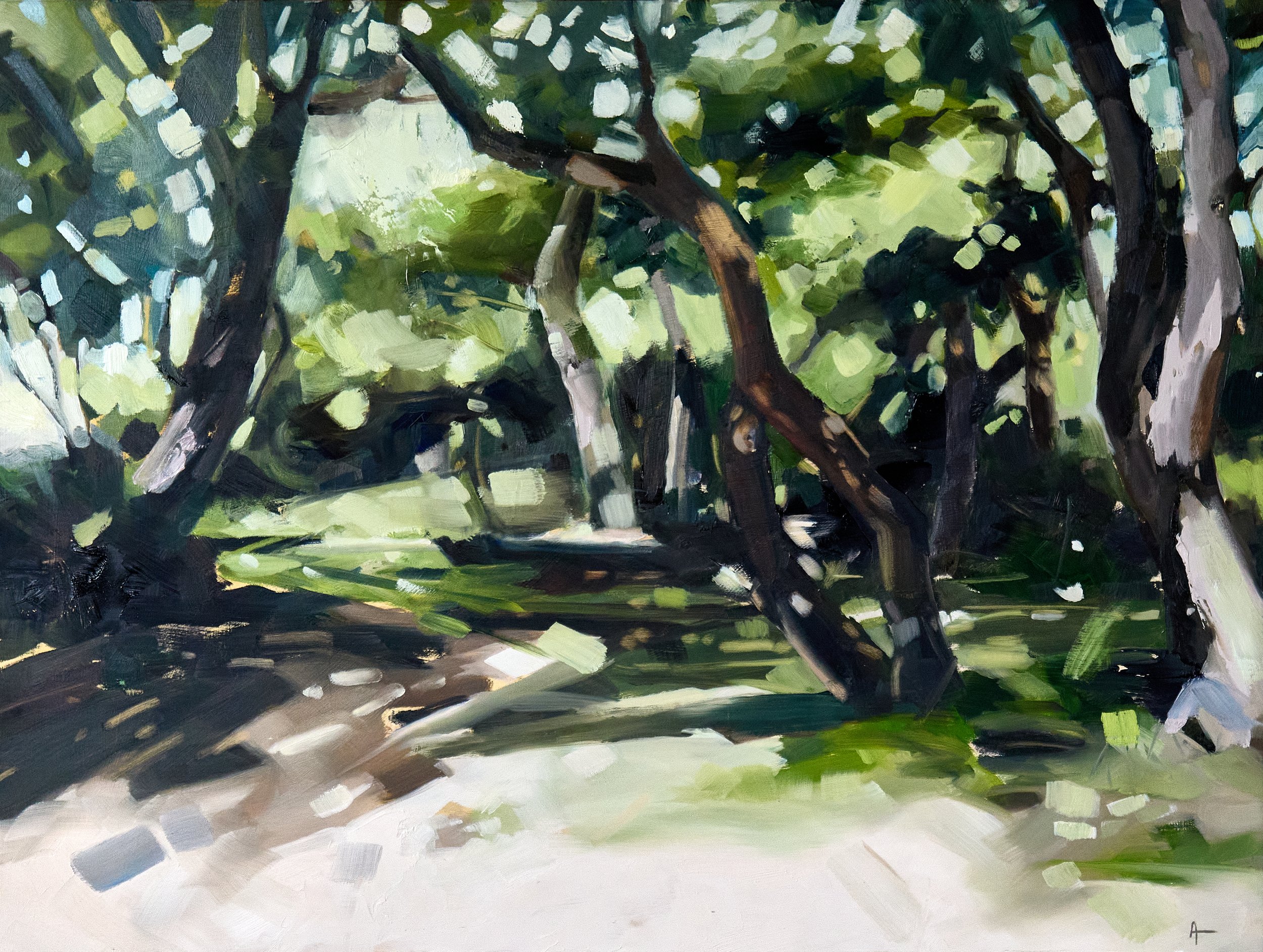 16_Beach camp_ImageA.jpg