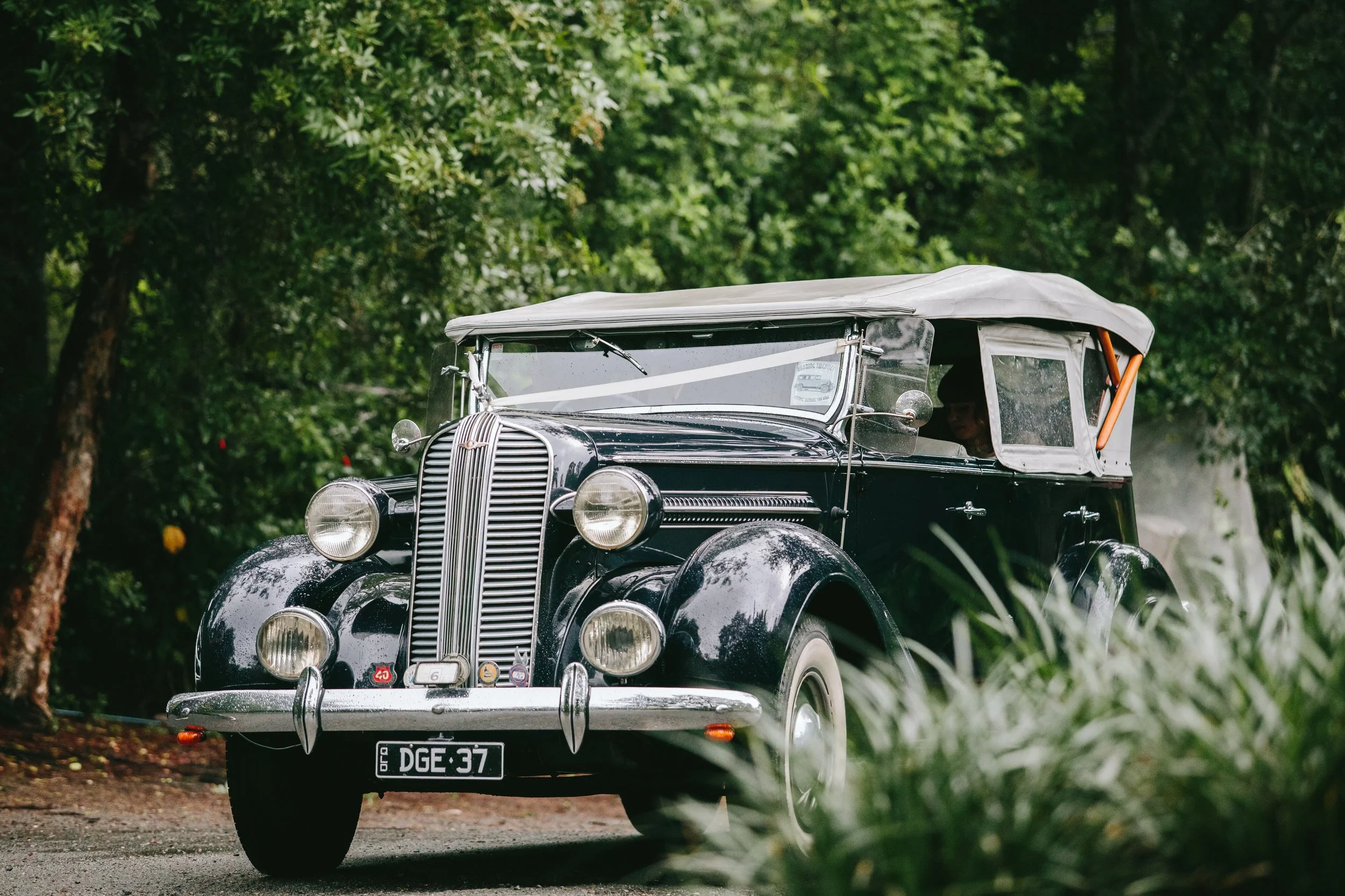 TONE & AIMEE-3960.JPG