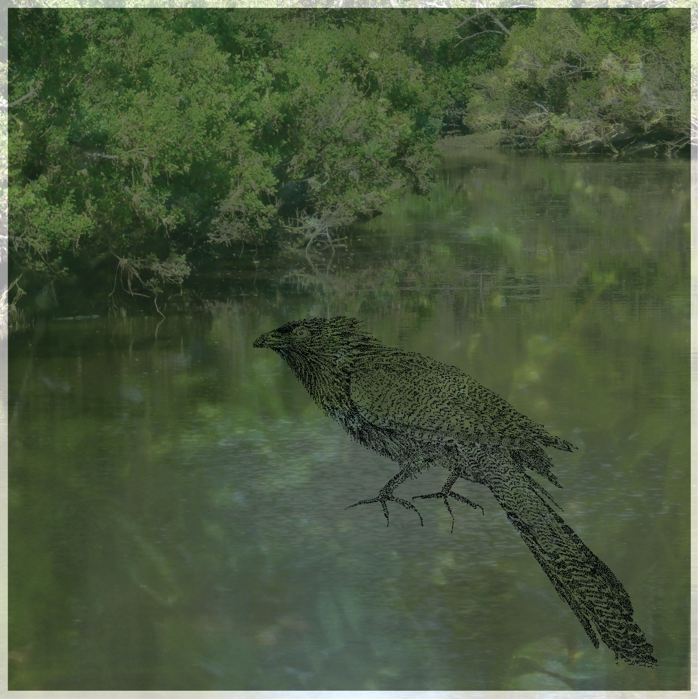 05_Pheasant Coucle.png