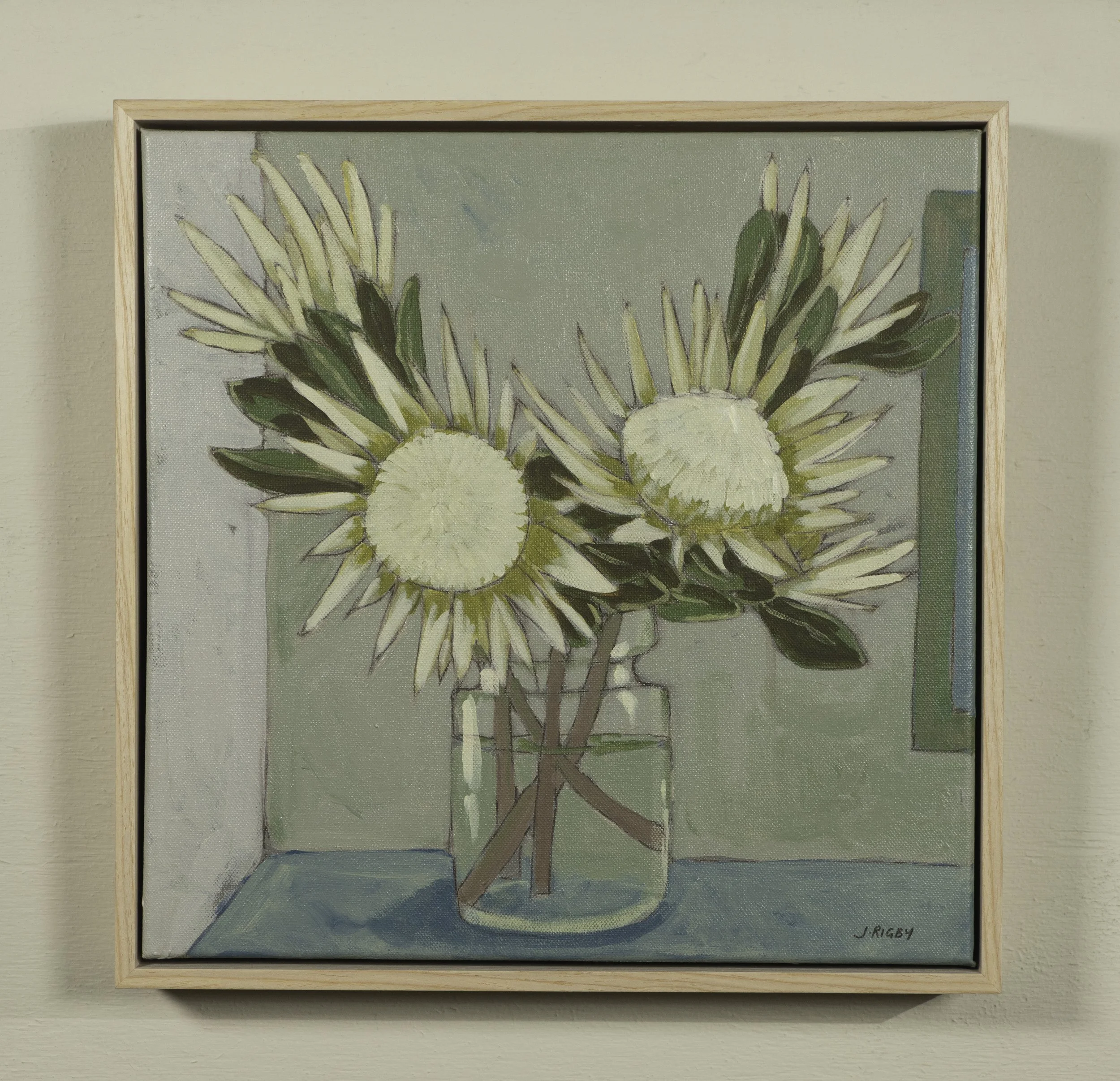 King Proteas - Jody Rigby