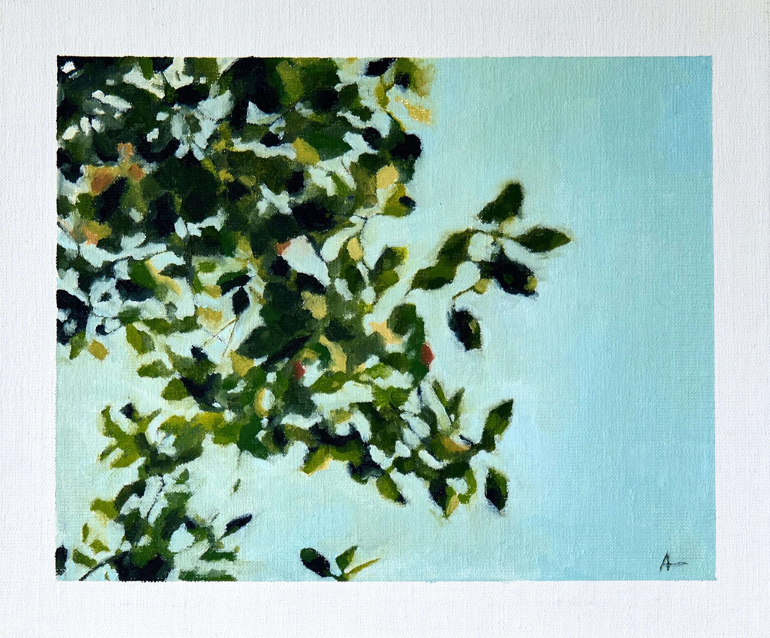 24_Fig Study I_ImageA.jpg