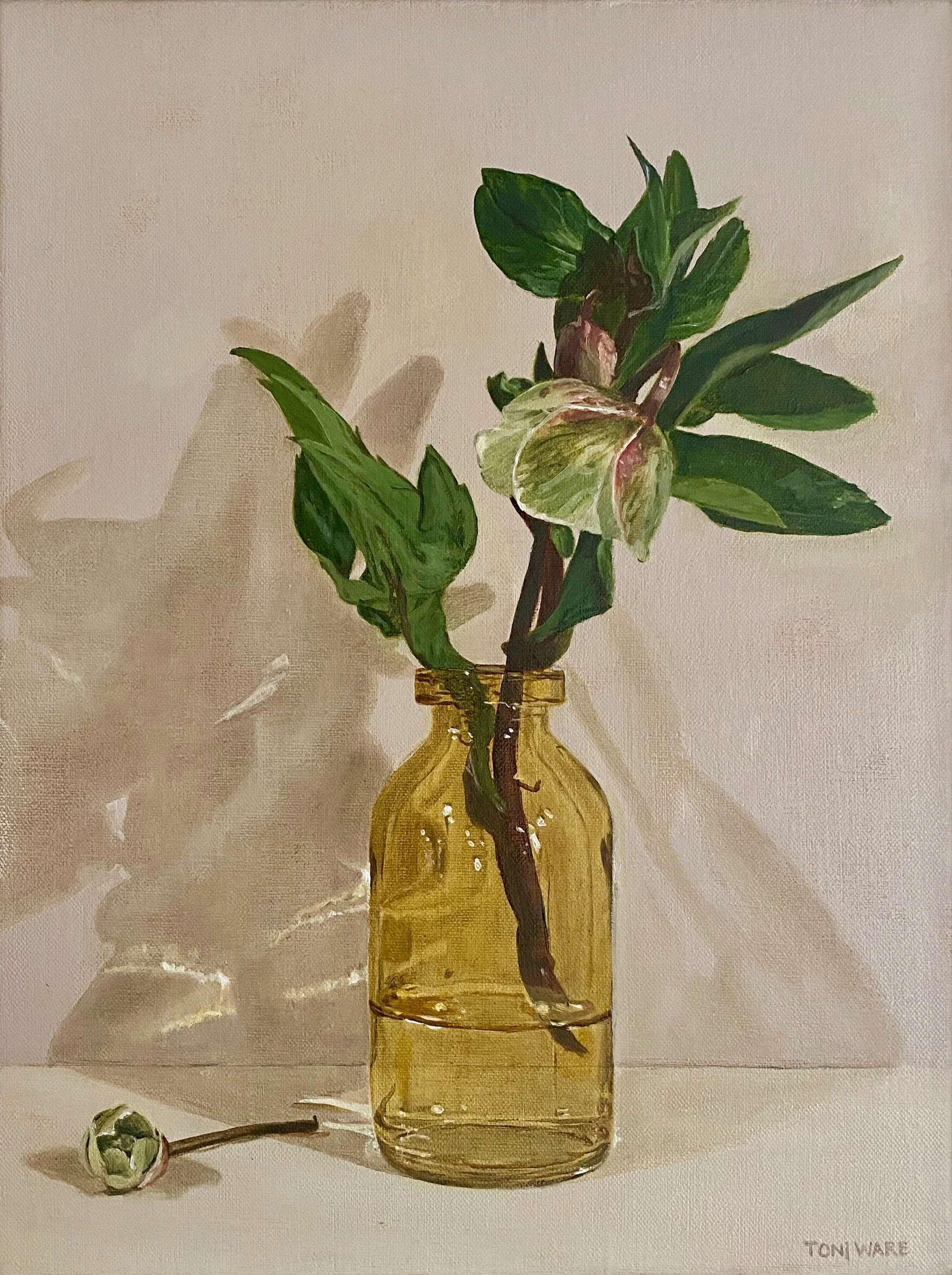 Gentle Healing - Toni Ware