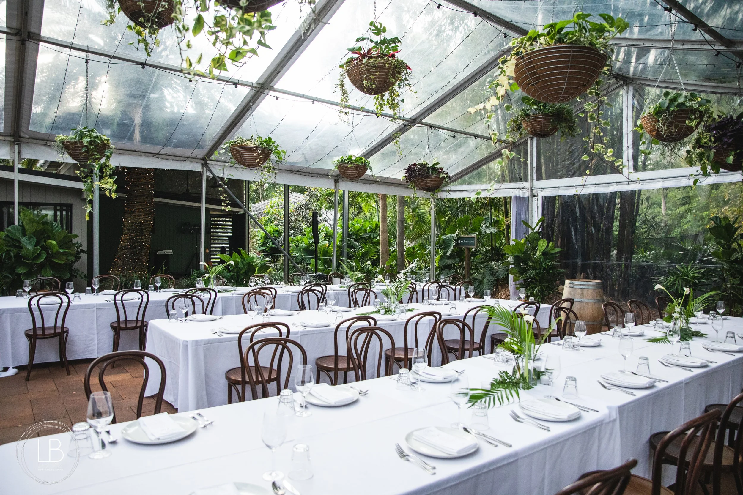 Amy and Carl_Wild Canary IMG_380.JPG