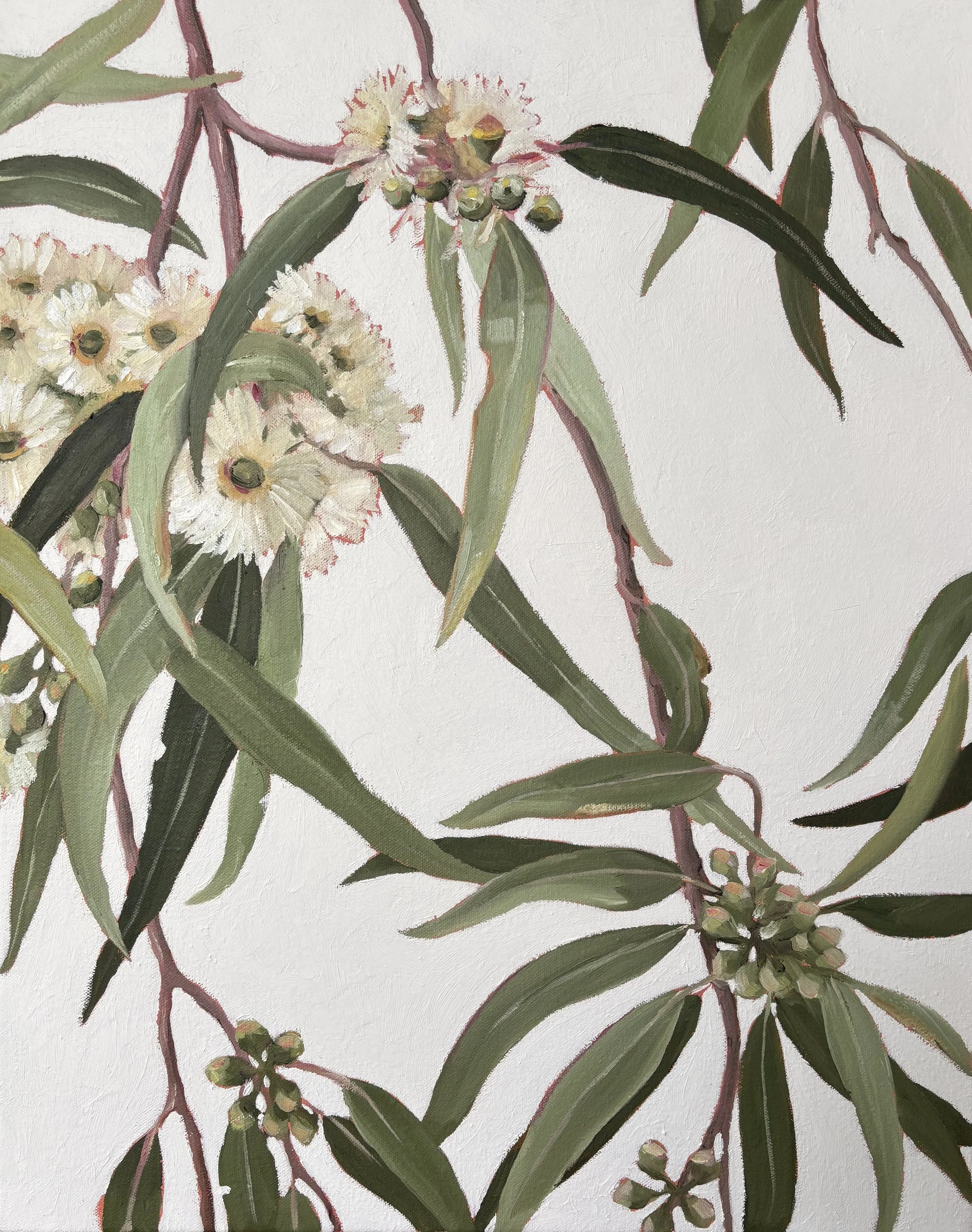 White Gum Foliage 2 - Sue Rowsell
