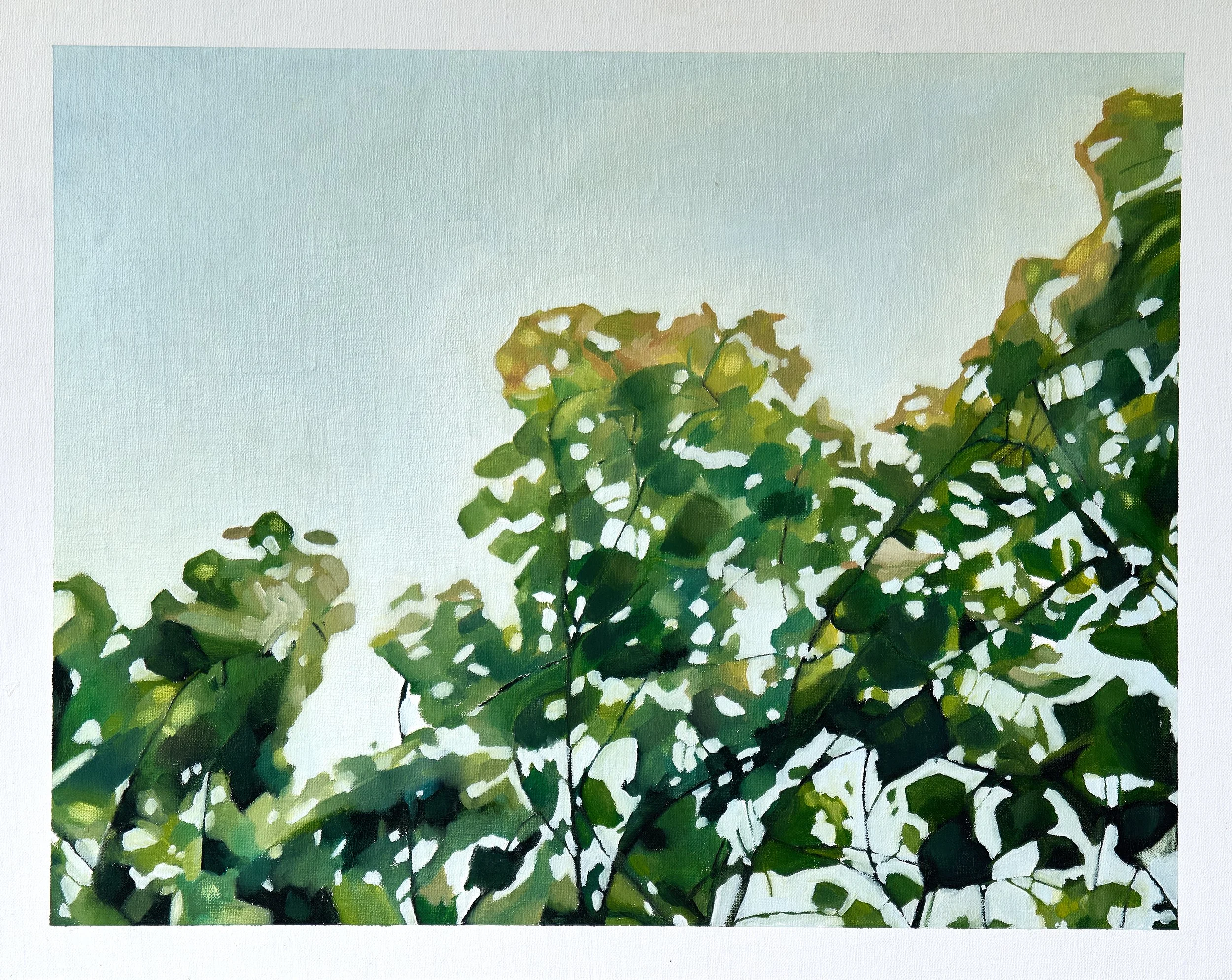 31_Cotton Tree I_ImageC.jpg