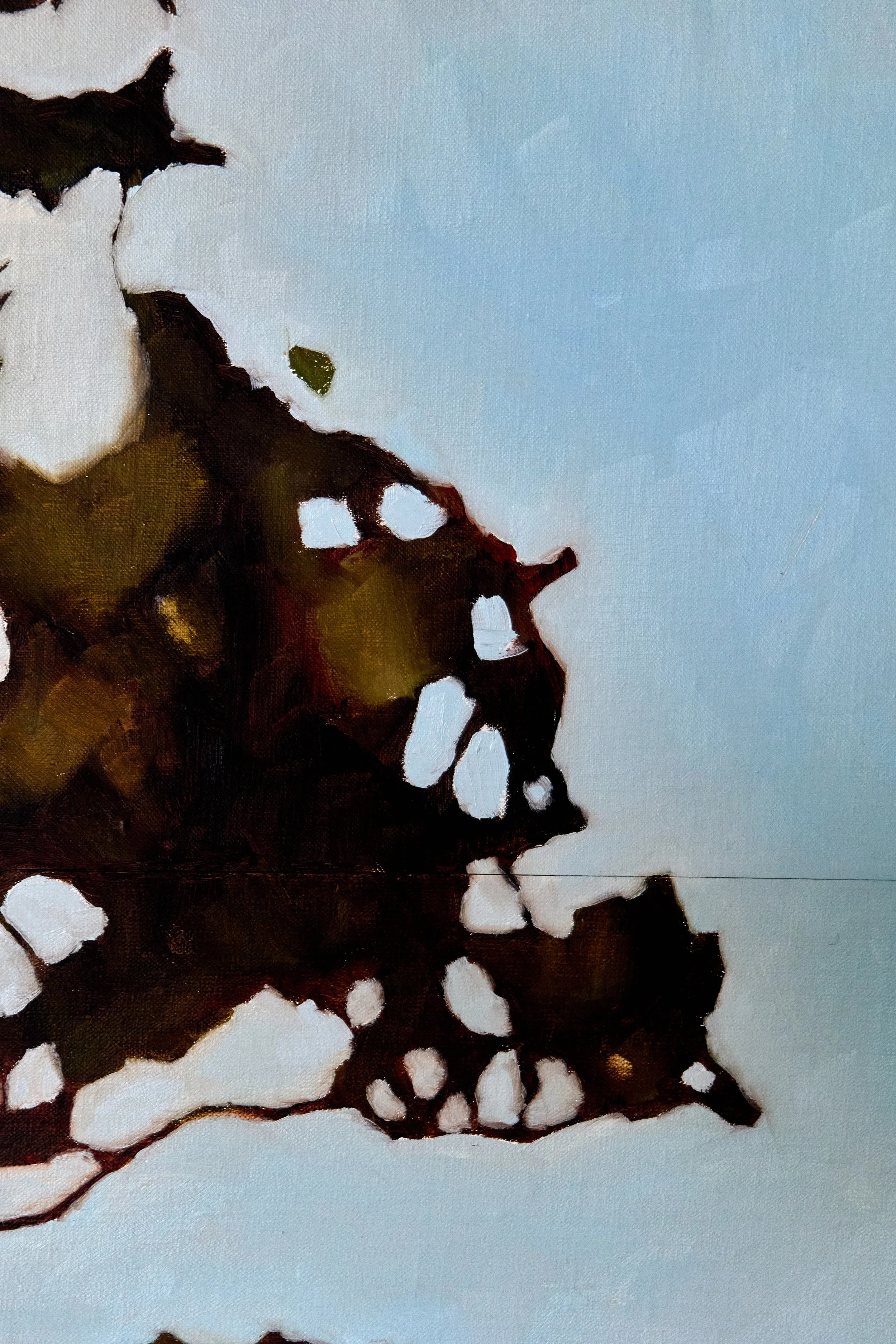 19_Melaleuca III Diptych_ImageB.jpeg