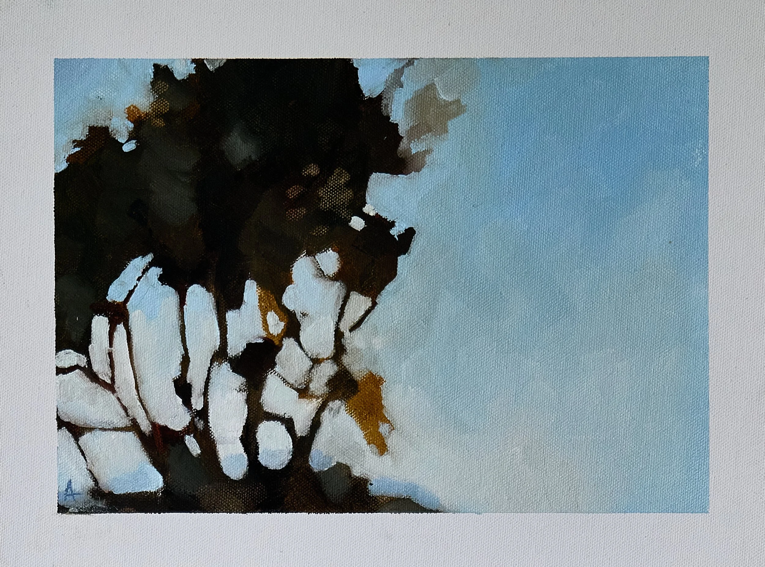 18_Treeline_ImageA.jpg