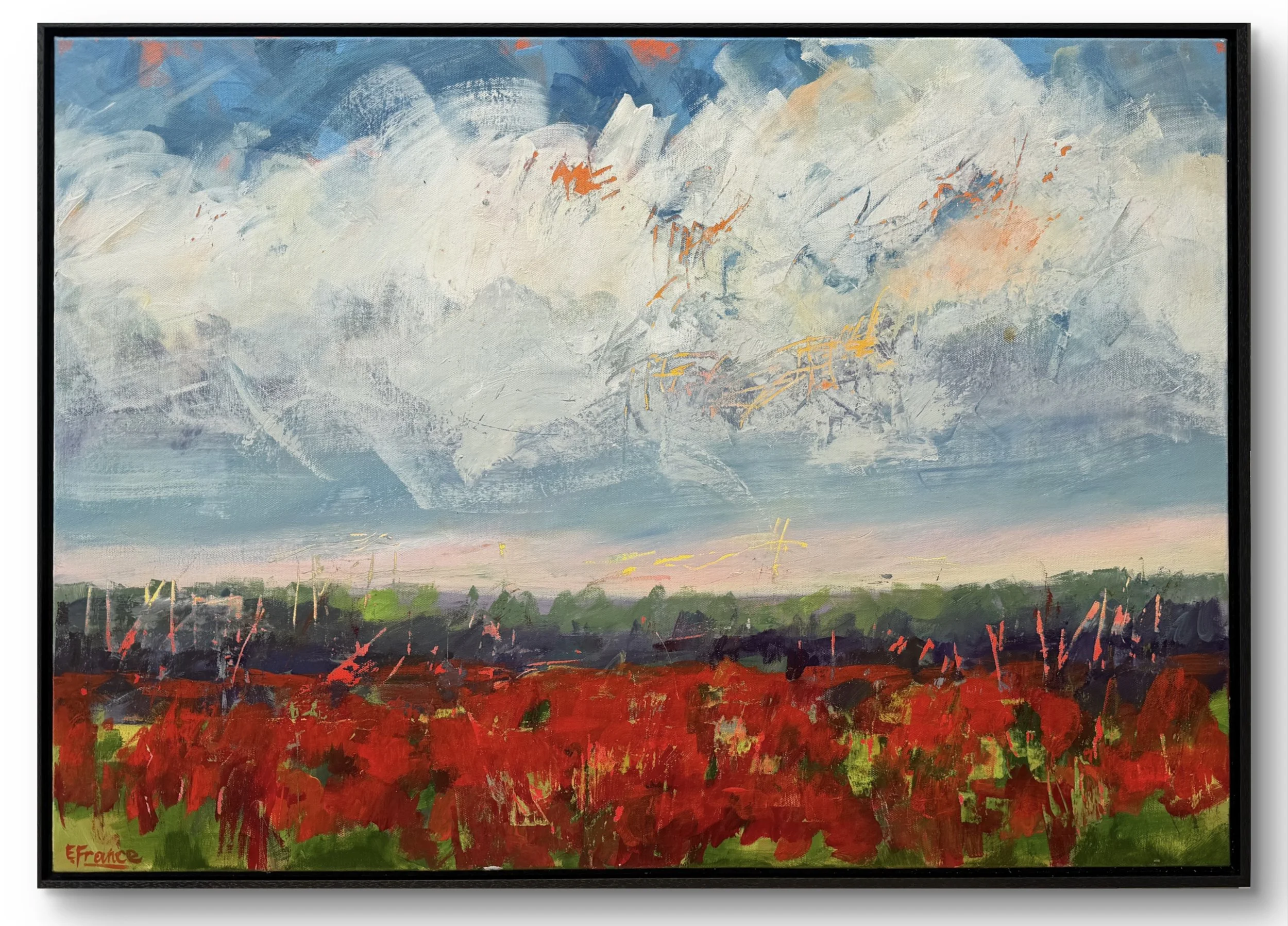 Un Campo di Papave - Elle France