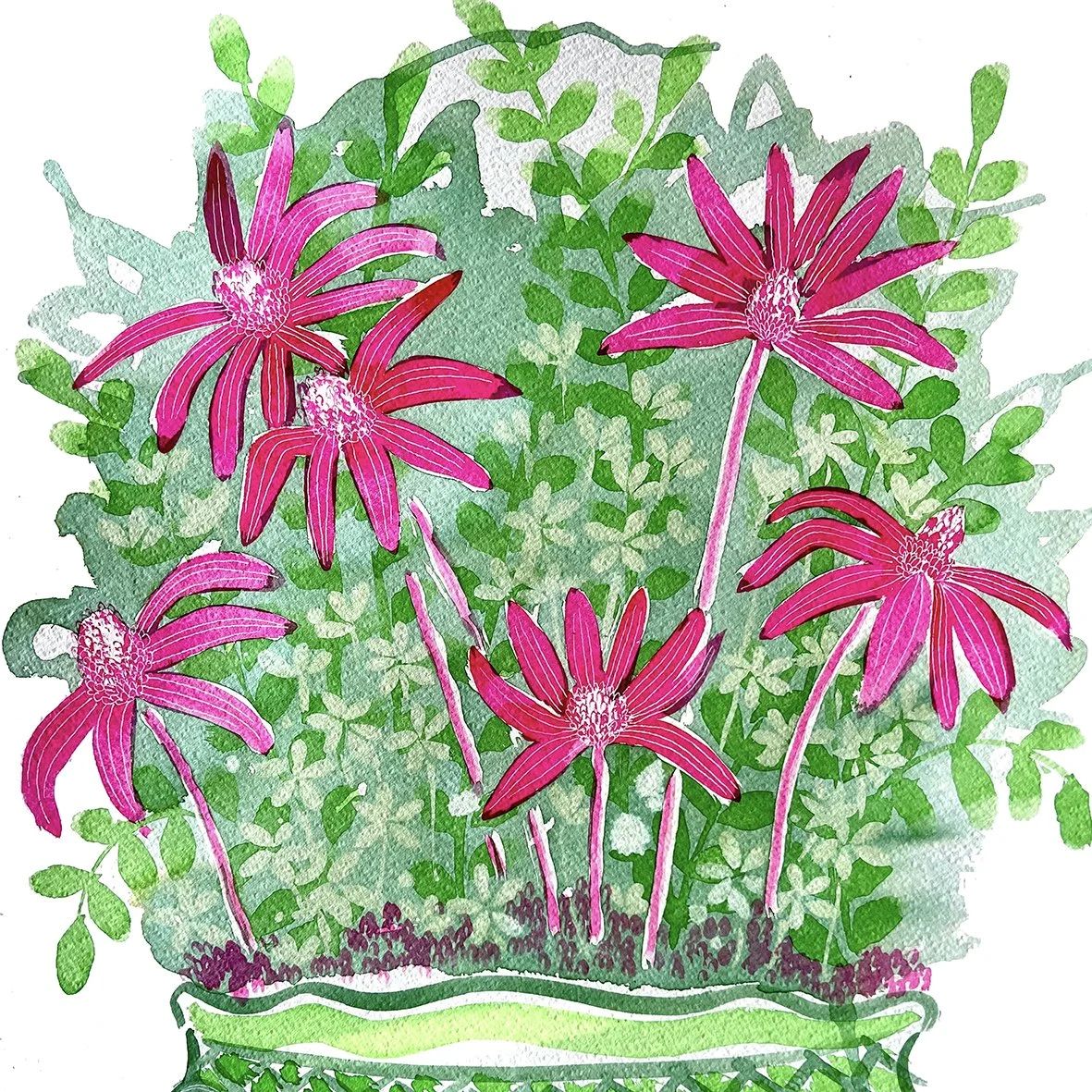 green pink garden.jpg