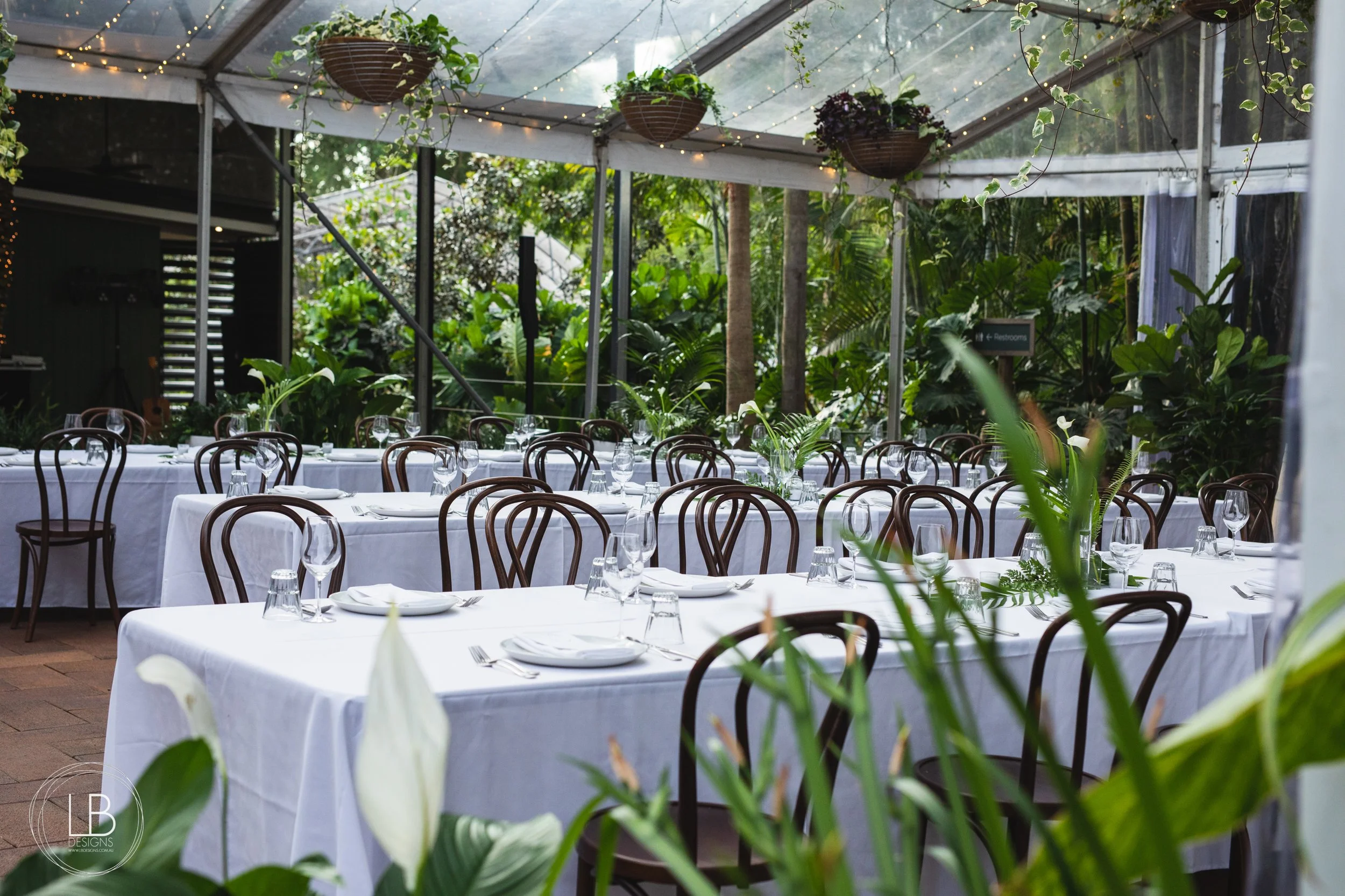 Amy and Carl_Wild Canary IMG_377.JPG