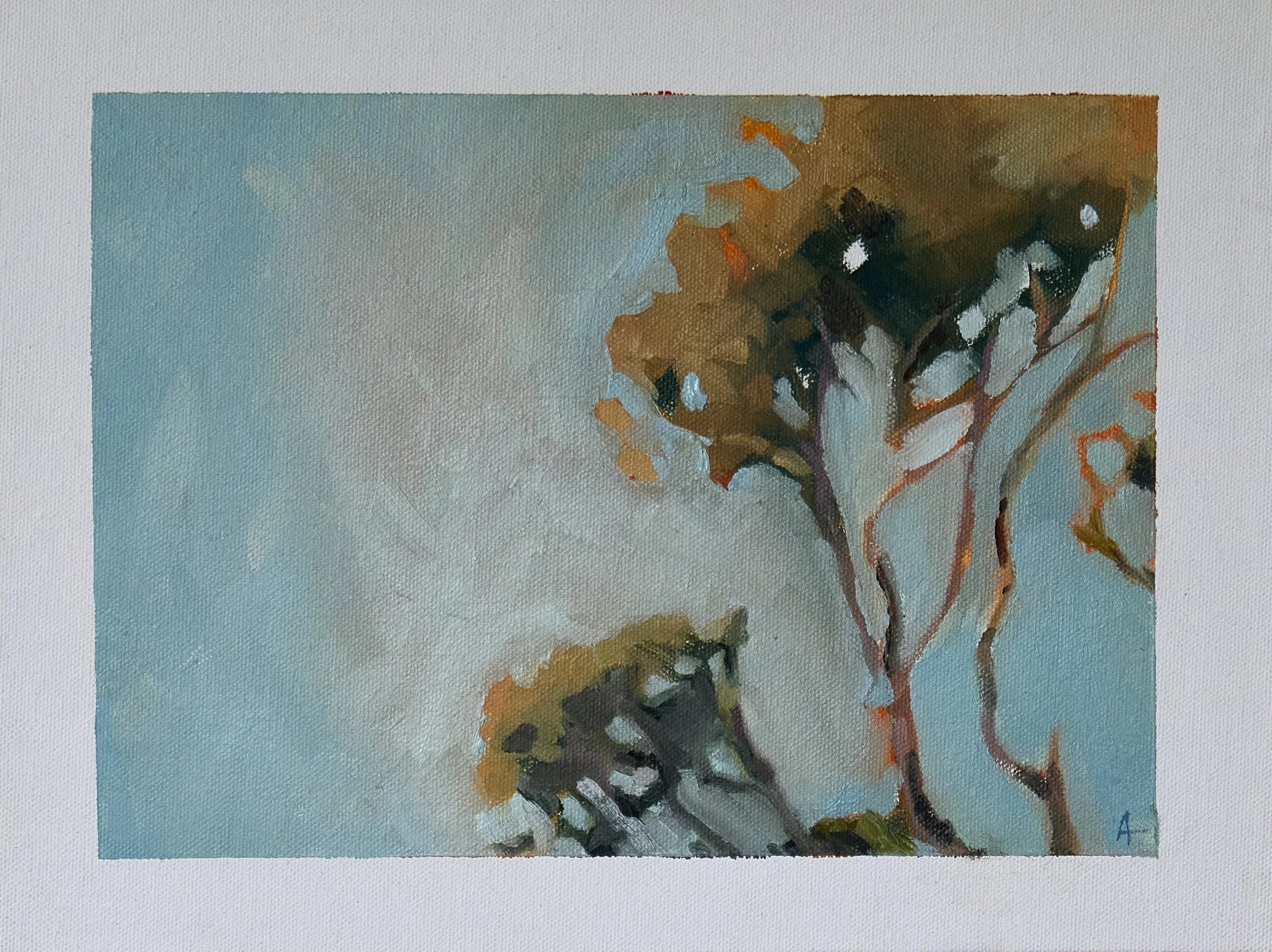 17_Ghost gums_ImageA.jpg