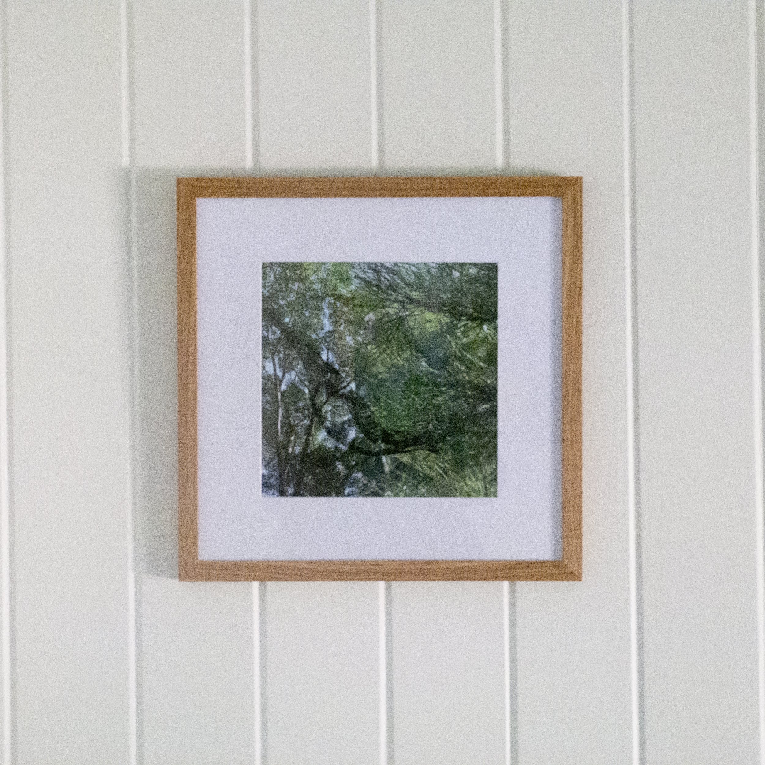 02_framed (in situ)_honeyeater.jpg