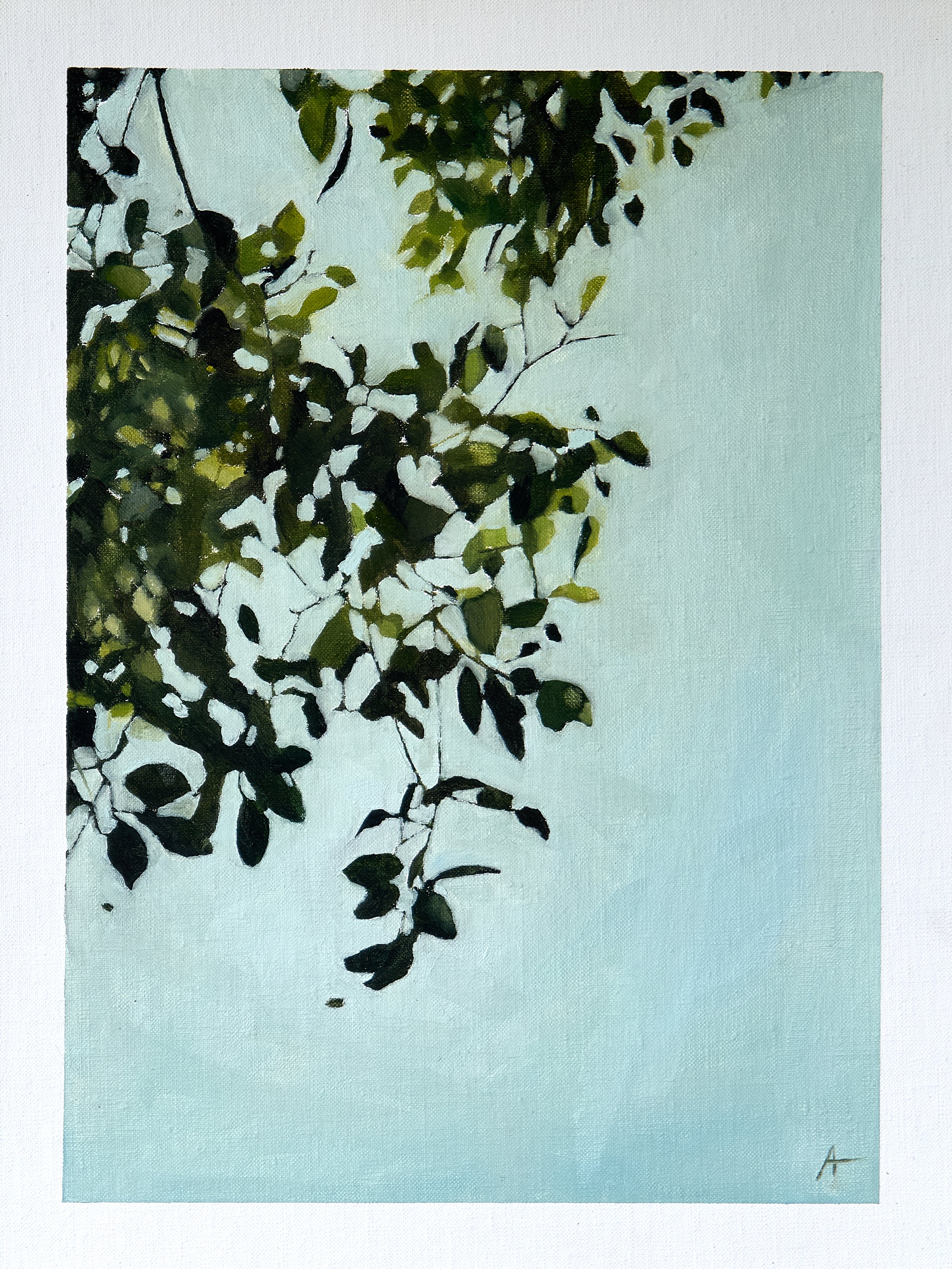 29_Fig Study II_imageA.jpg