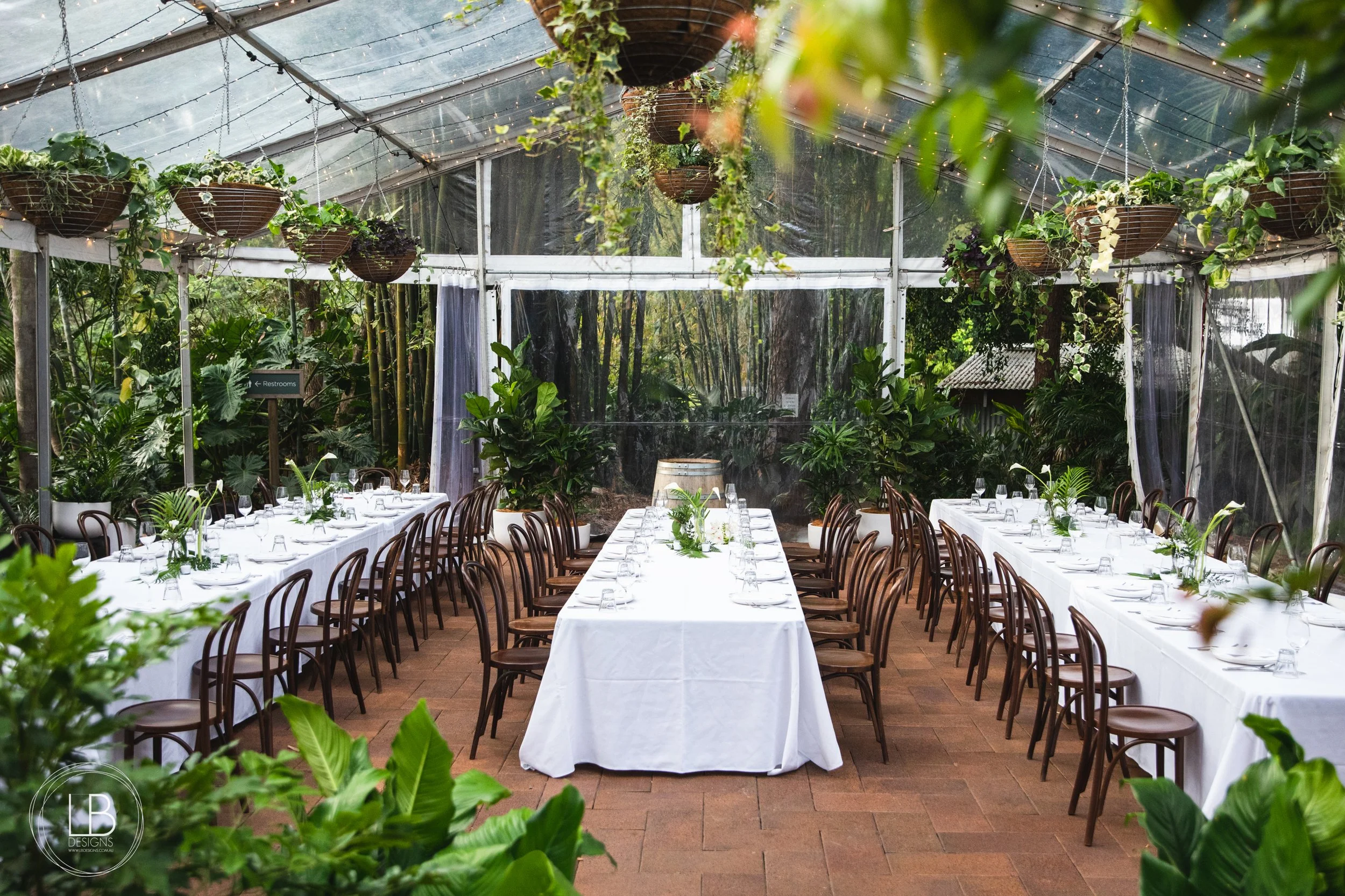 Amy and Carl_Wild Canary IMG_382.JPG