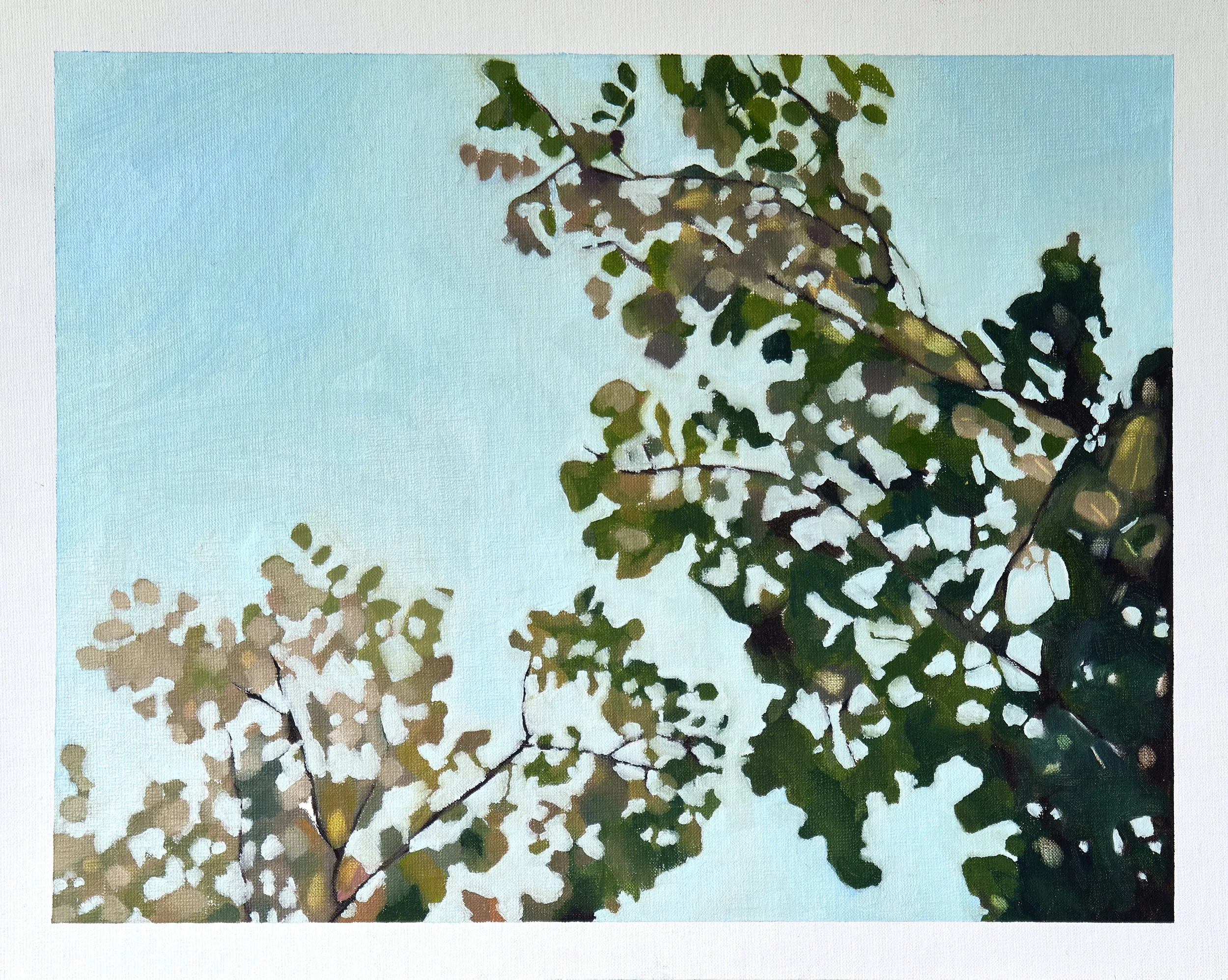 32_Cotton Tree II_ImageA.jpg