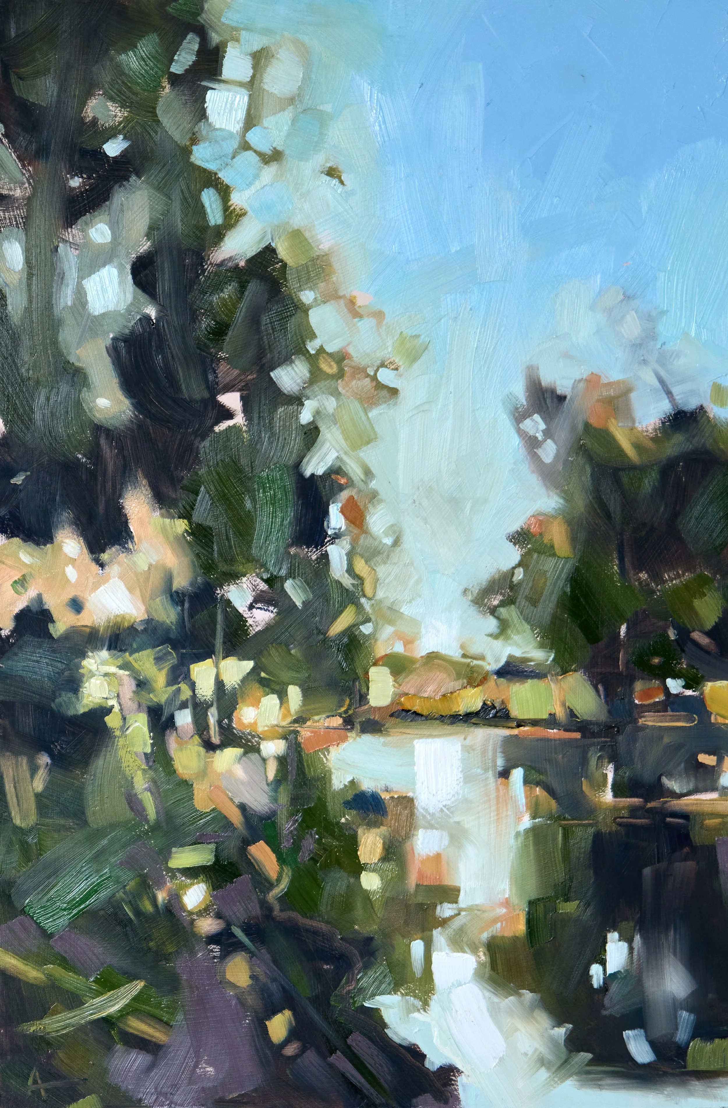 10_Ti Tree Lake_imageA.jpg