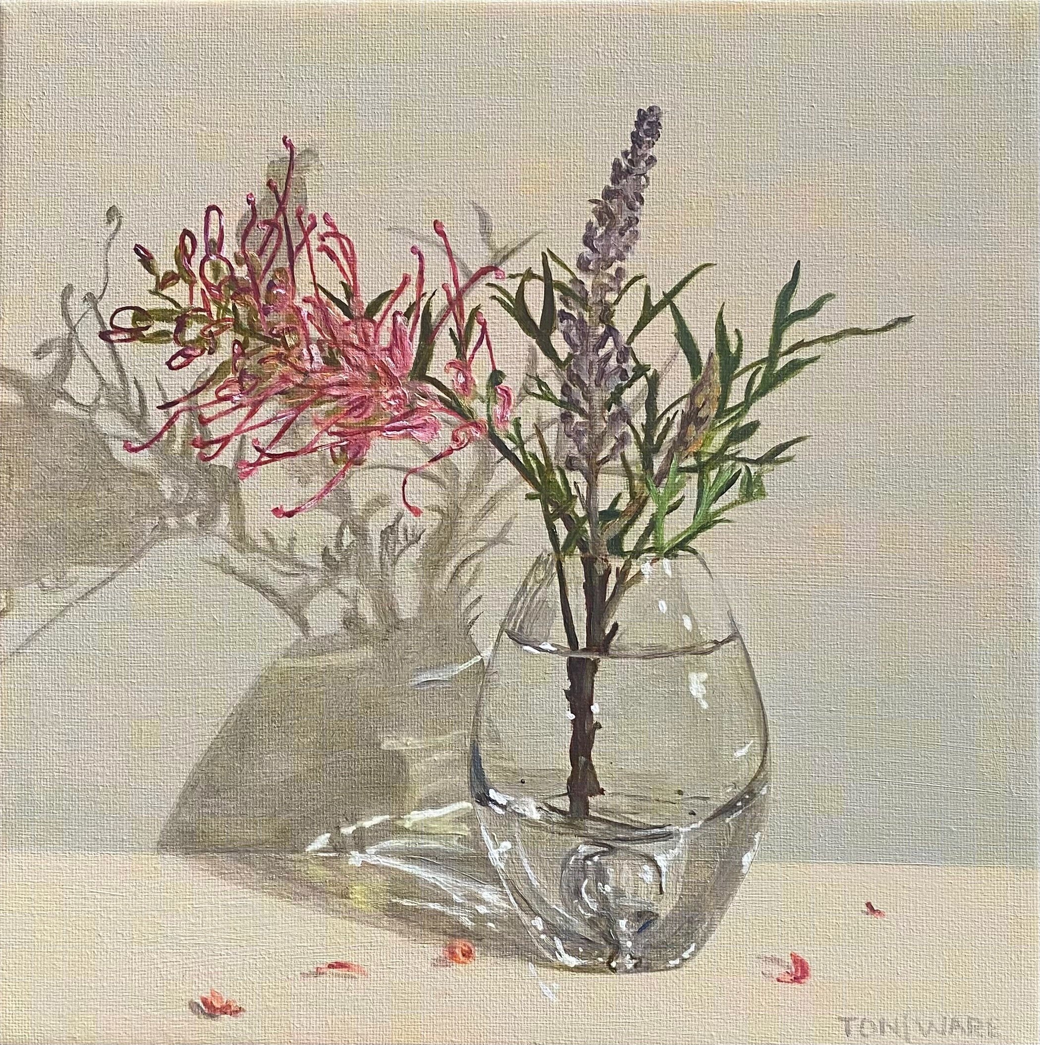 First Blush Grevillea art image.jpeg