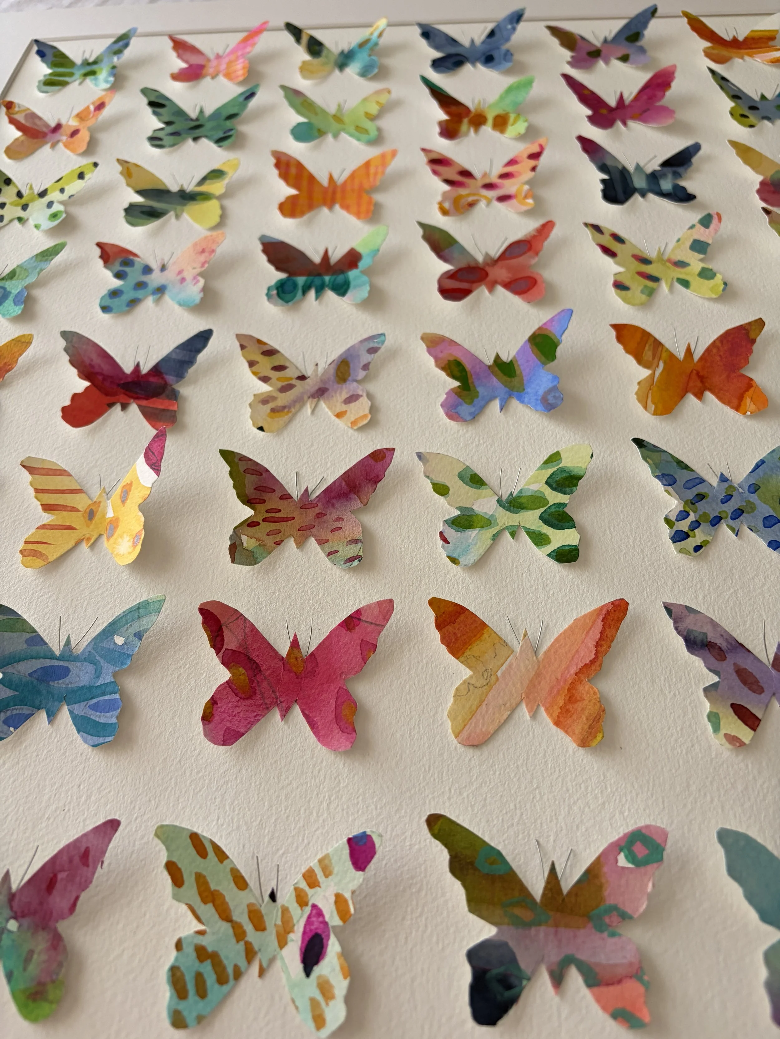 Papillon.2.JPG