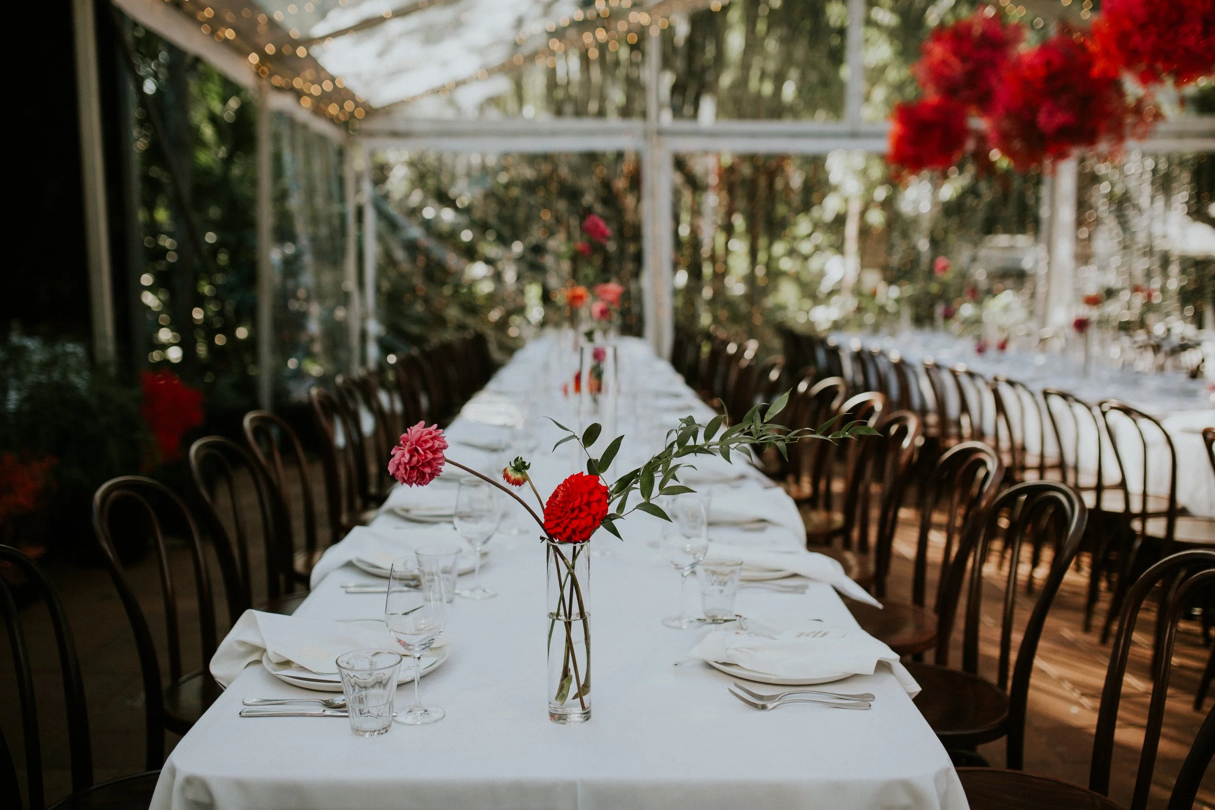 Long banquet table set for a formal event with white tablecloths, glassware, silverware, and small floral centerpieces, surrounded by dark wooden chairs, in a glass-included outdoor or greenhouse setting decorated with string lights and hanging red flowers.