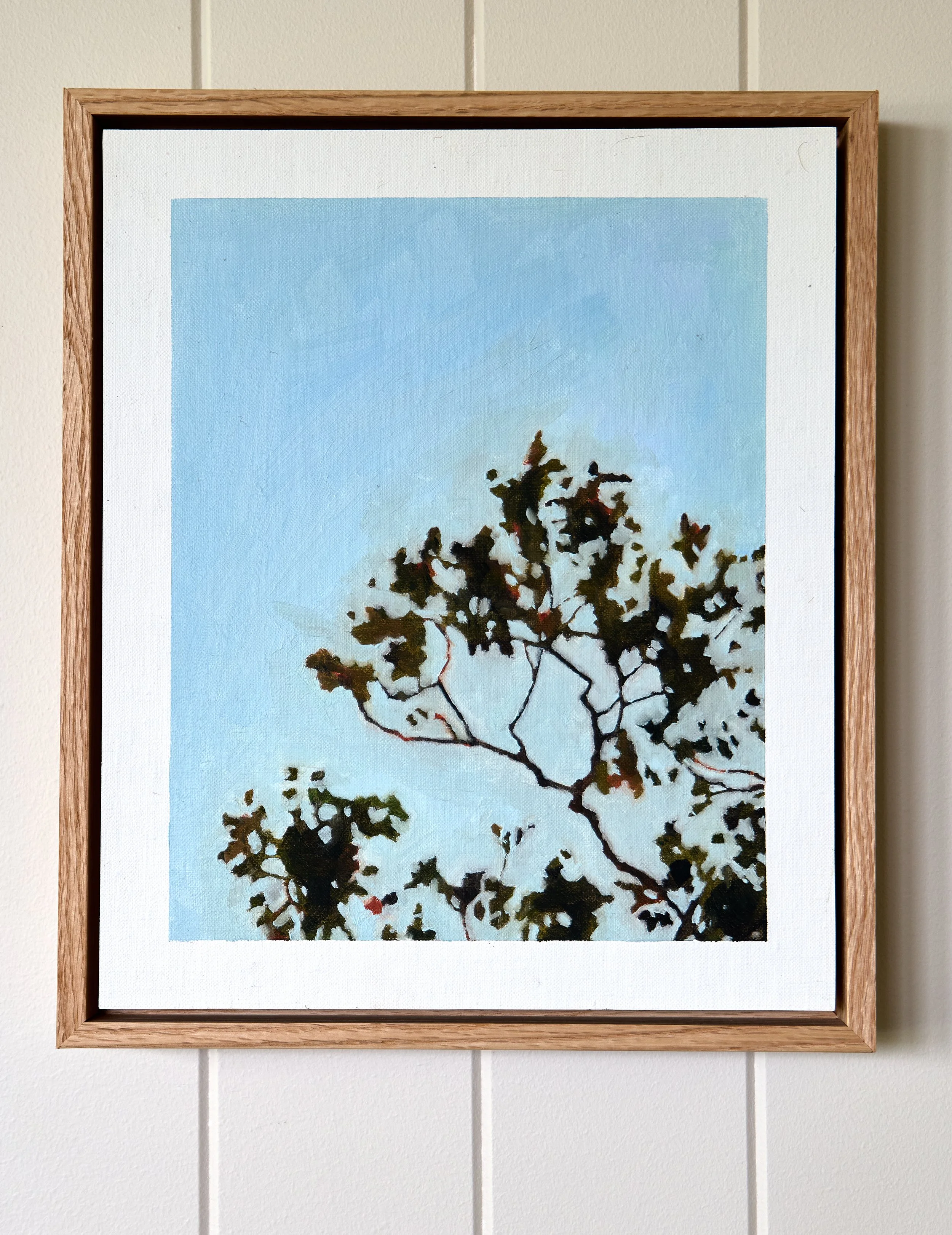 River Red Gum - Anna Ferguson
