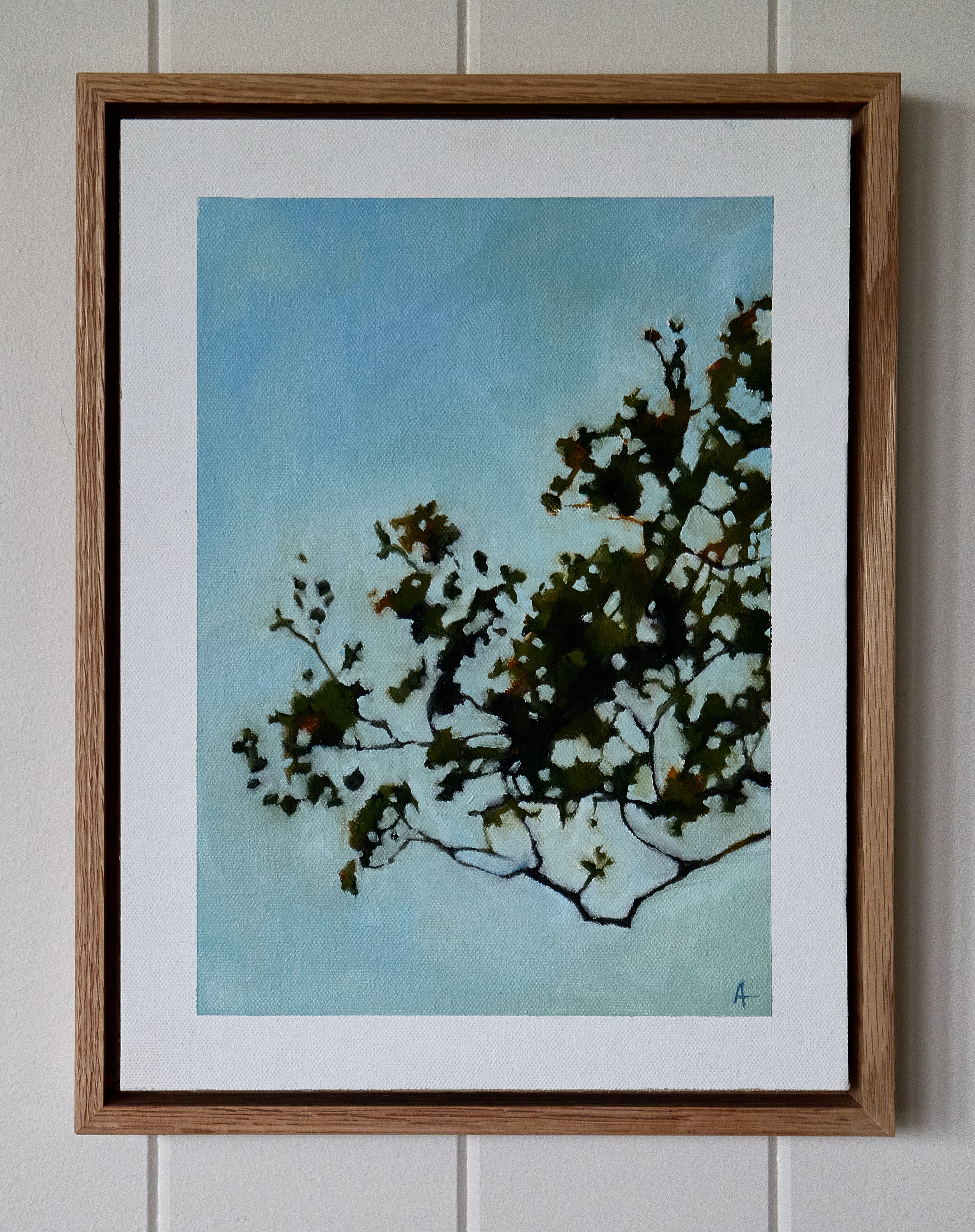 Eucalyptus - Anna Ferguson