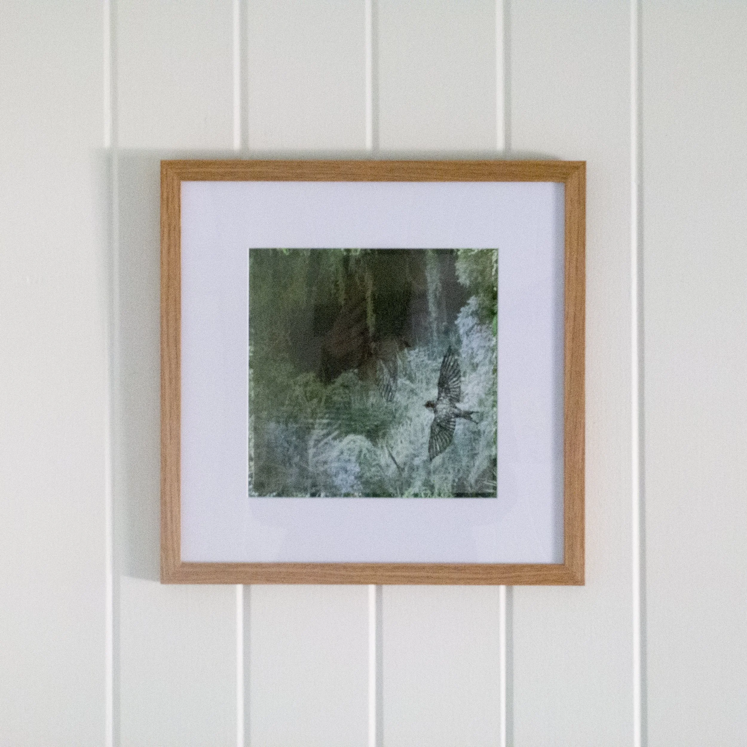06_framed (in situ)_welcome swallows.jpg