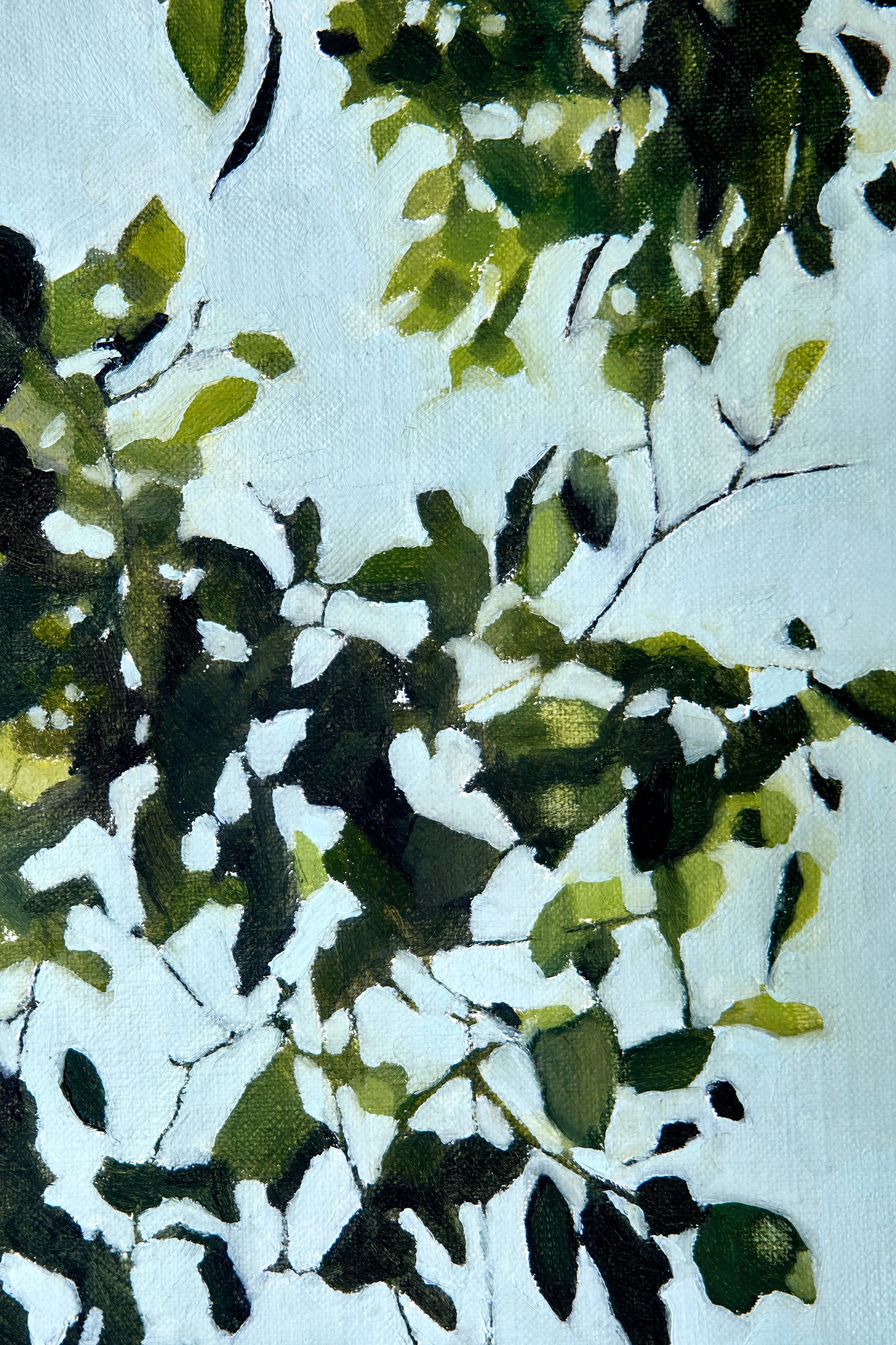 29_Fig Study II_imageB.jpeg