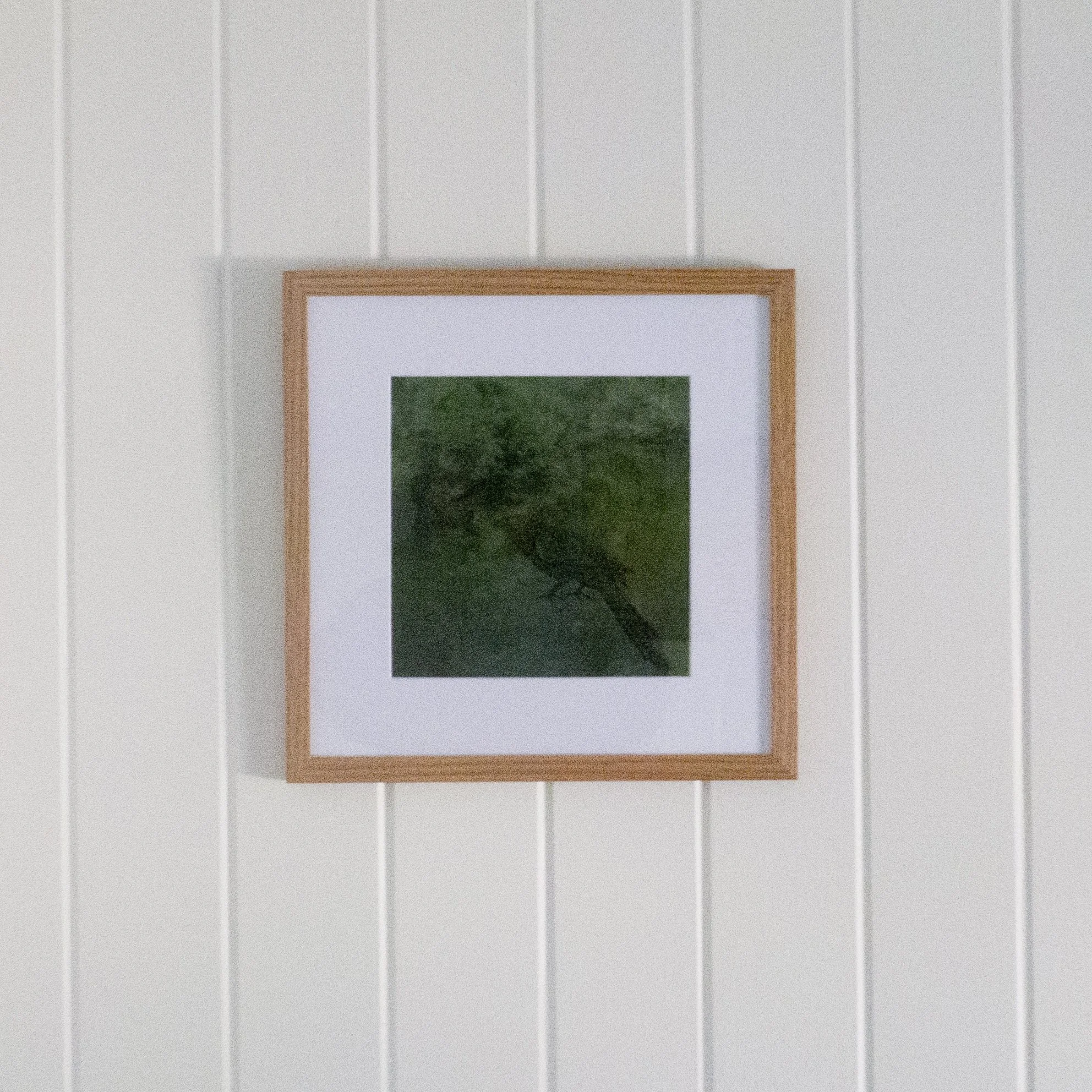 05_framed (in situ)_pheasant coucle.jpg